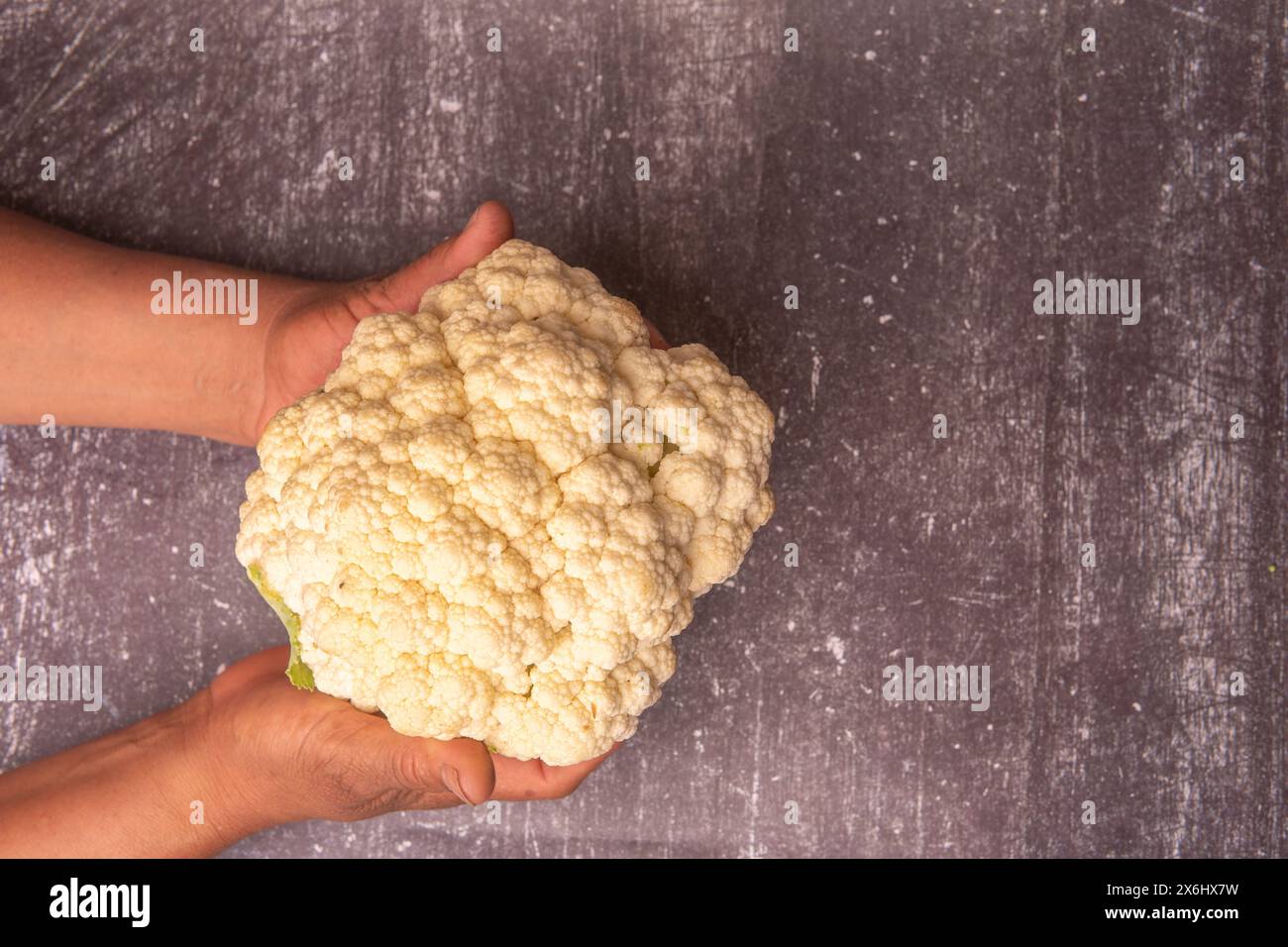 Hands of an adult woman holding a fresh cauliflower. Stock Photo