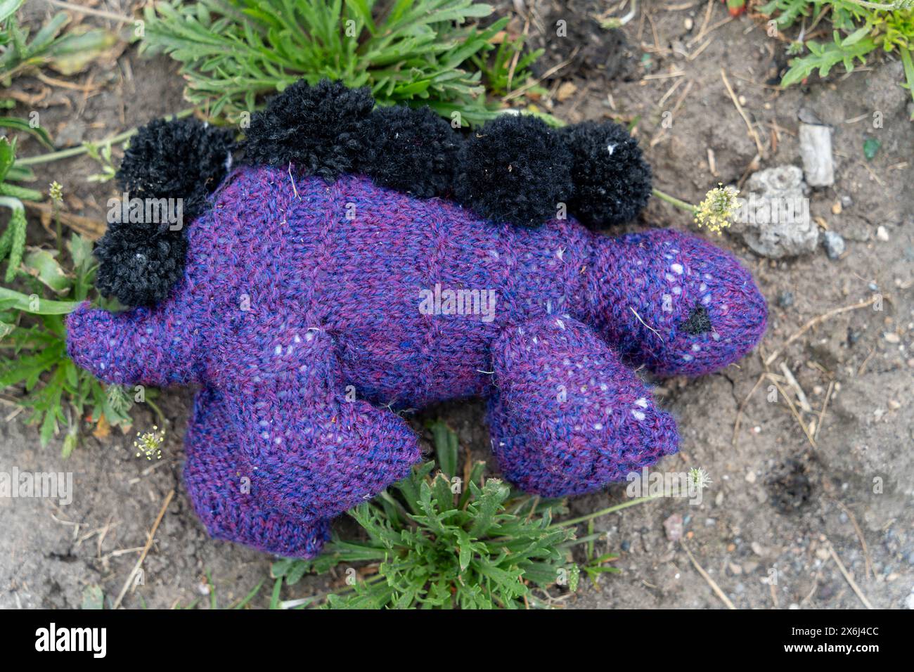 A lost knitted toy on the roadside. Concept of loss or grief in childhood. Stock Photo