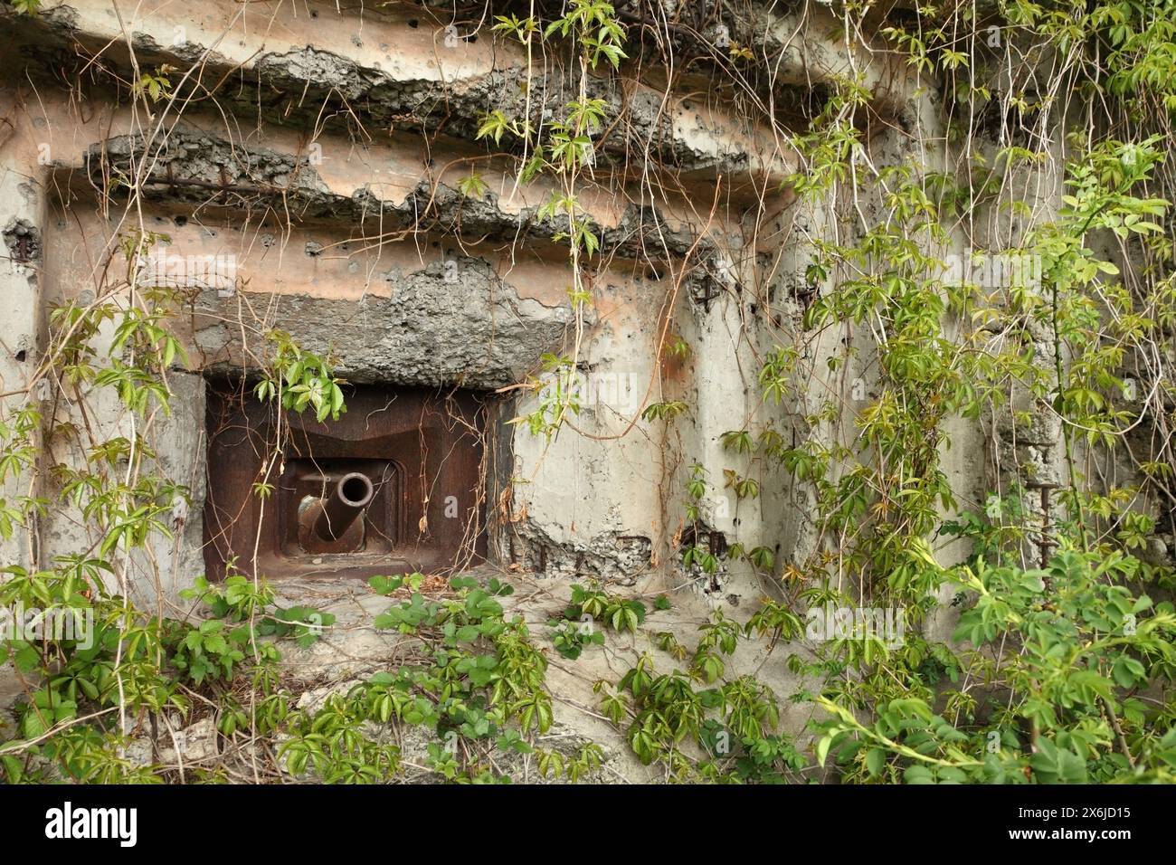 Abandoned Artillery Casemate At The 2nd World War Defensive Fort Eben ...