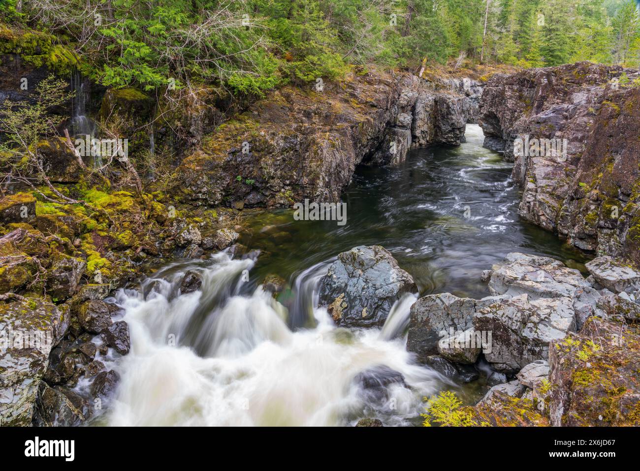 A small creek running through the forest at Sooke Regional Park, Vancouver Island, British Columbia, Canada. Stock Photo
