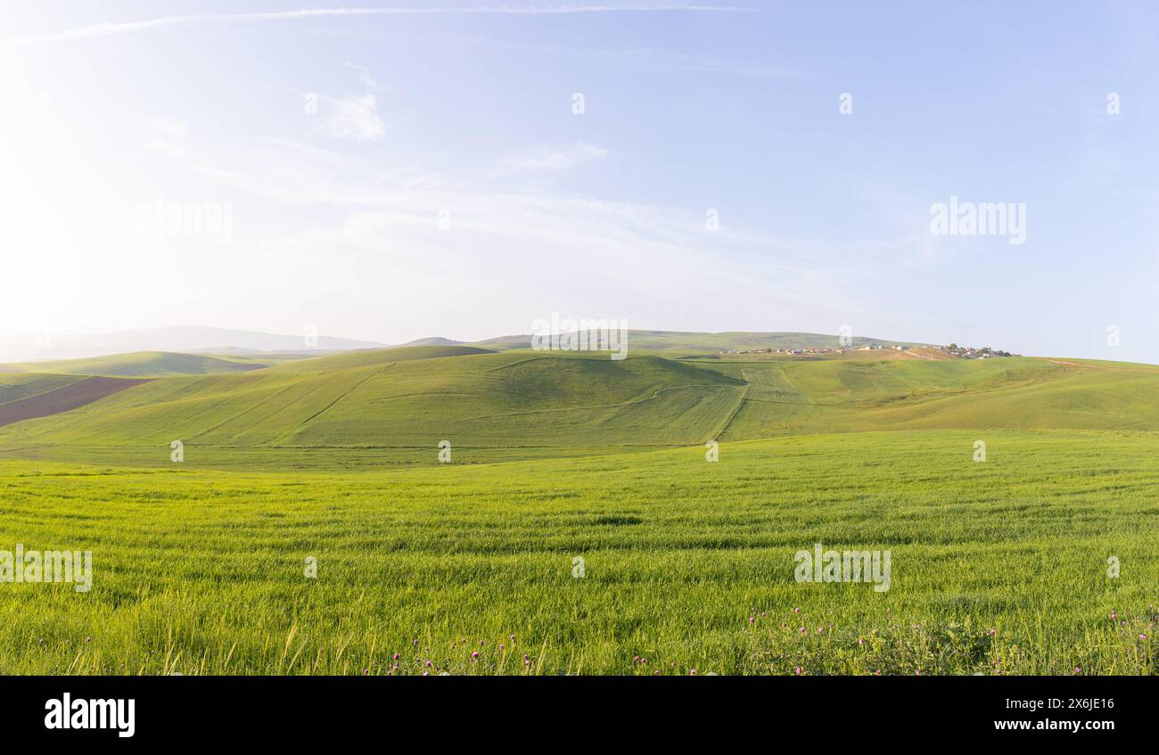 Endless fields of grass hi-res stock photography and images - Alamy