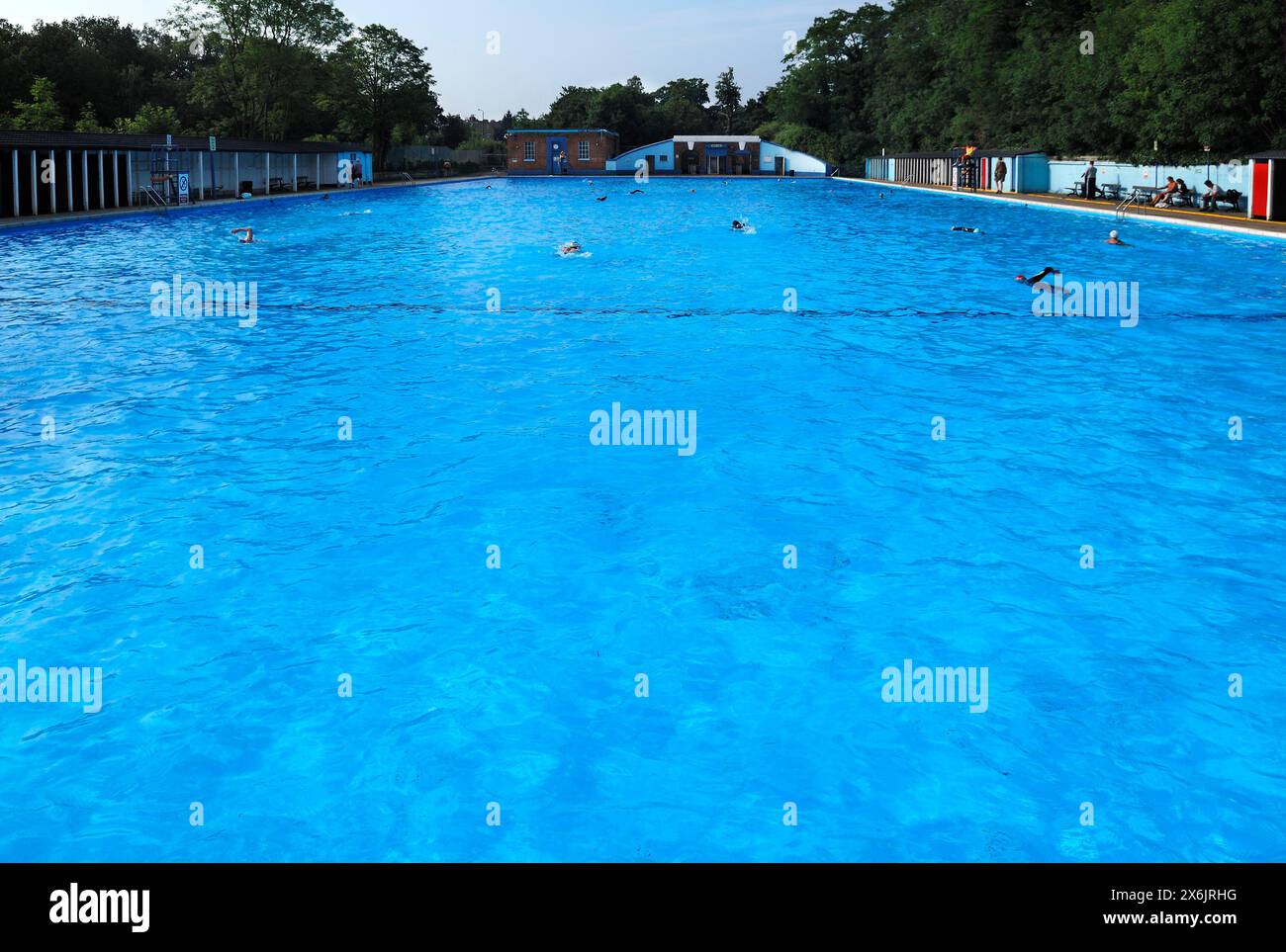 Large outdoor pool Tooting Bec Lido (91 m x 30 m), Tooting Bec Common, Tooting Bec, London, England, United Kingdom Stock Photo