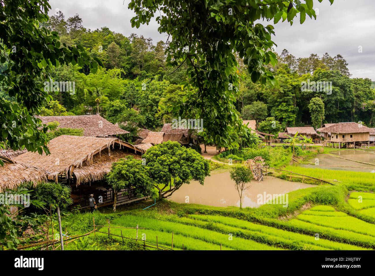 Landscape of rice paddies and buildings located at Chiang Doa Five Hill Tribes Village in Thailand Stock Photo