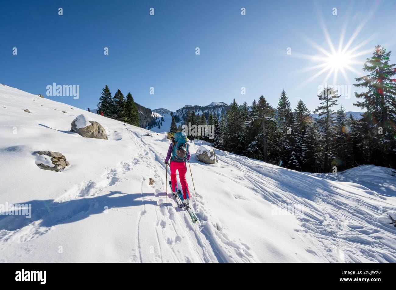 Ski tourer on the ascent to the Aiplspitz, Sonnenstern, Mangfall mountains, Bavarian Prealps, Bavaria, Tyrol Stock Photo