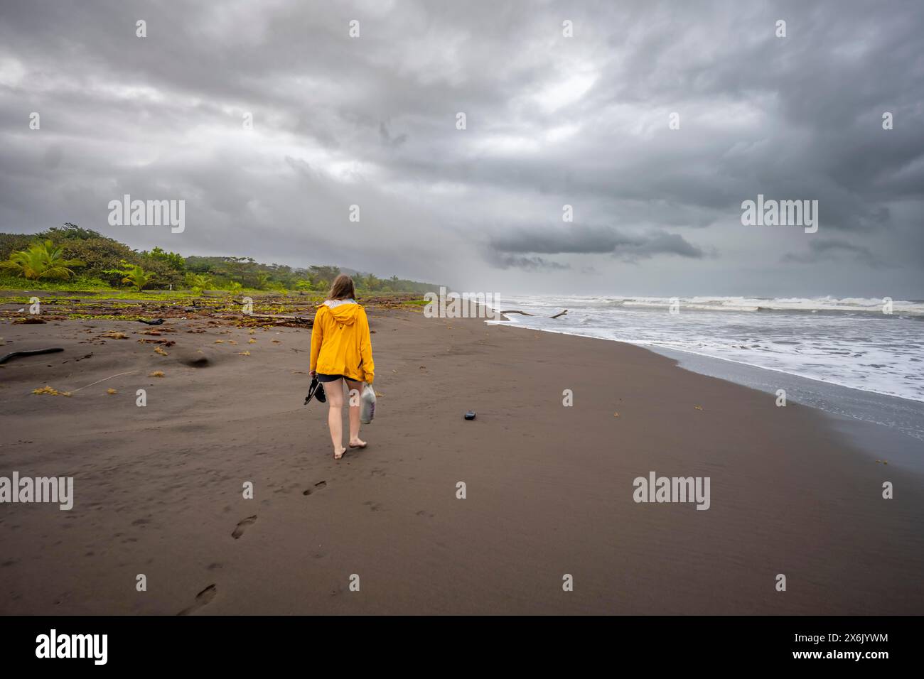 Tourists on the beach, coast with rainforest, Tortuguero National Park, Costa Rica Stock Photo