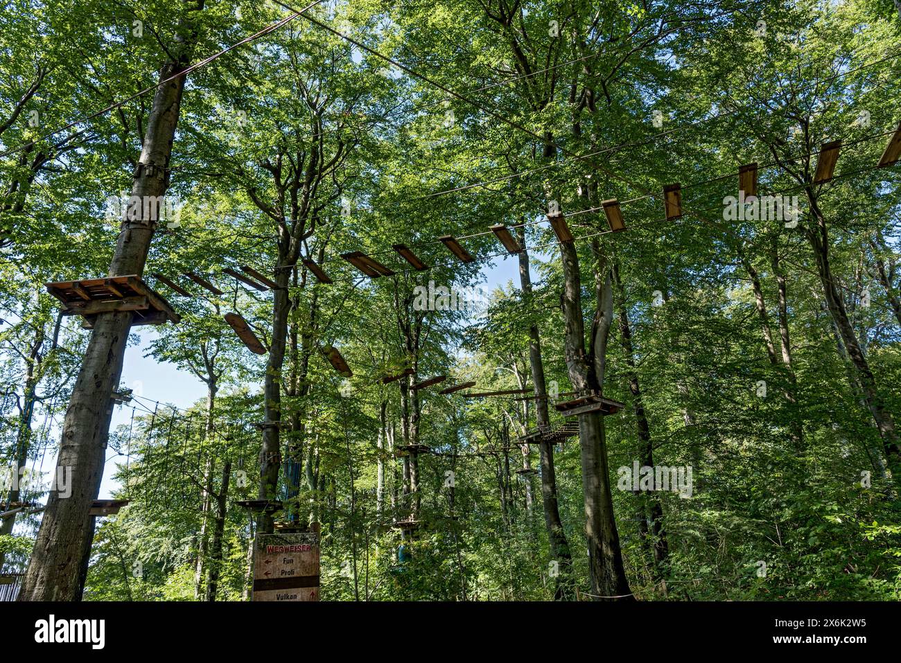 Platforms, ropes, rope ladders, suspension bridges, beech trees in the