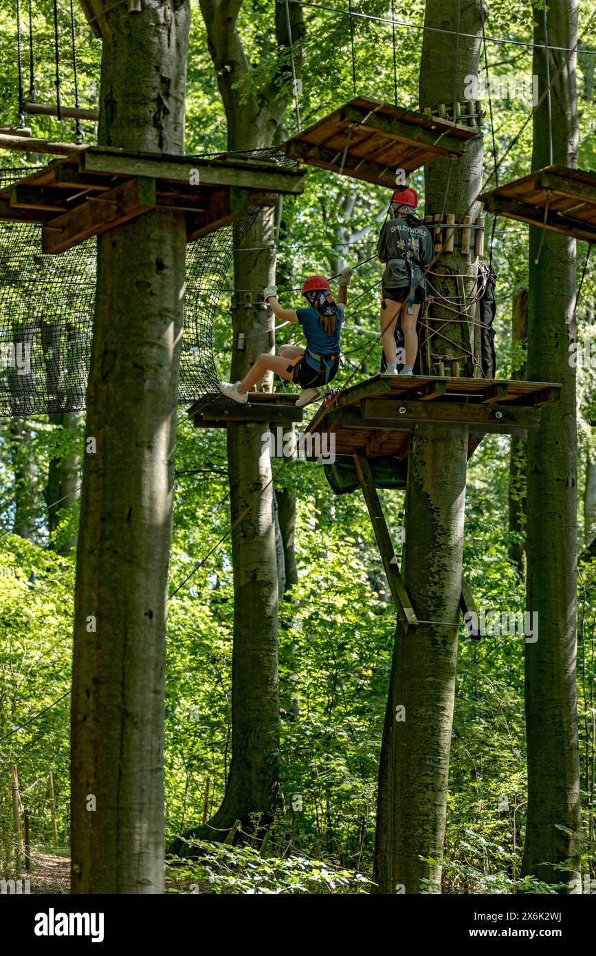 Group of young woman, girls climbing in the climbing forest, platforms, ropes, rope ladders, beech trees, beech forest, excursion, summit mountain Stock Photo