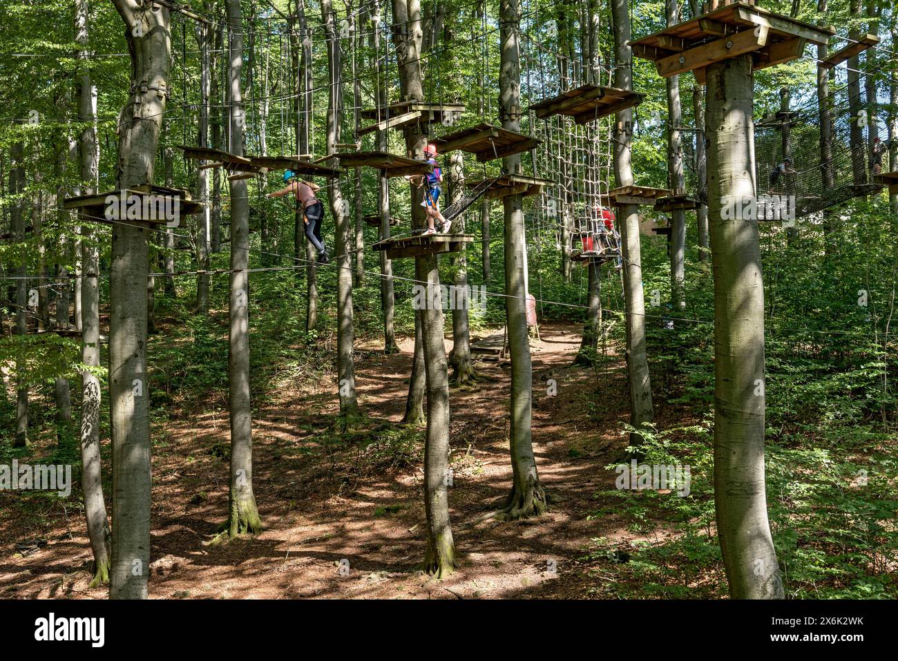 Woman and boy climbing in the climbing forest, platforms, ropes, rope