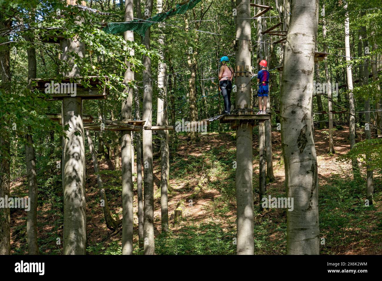 Woman and boy climbing in the climbing forest, platforms, ropes, rope