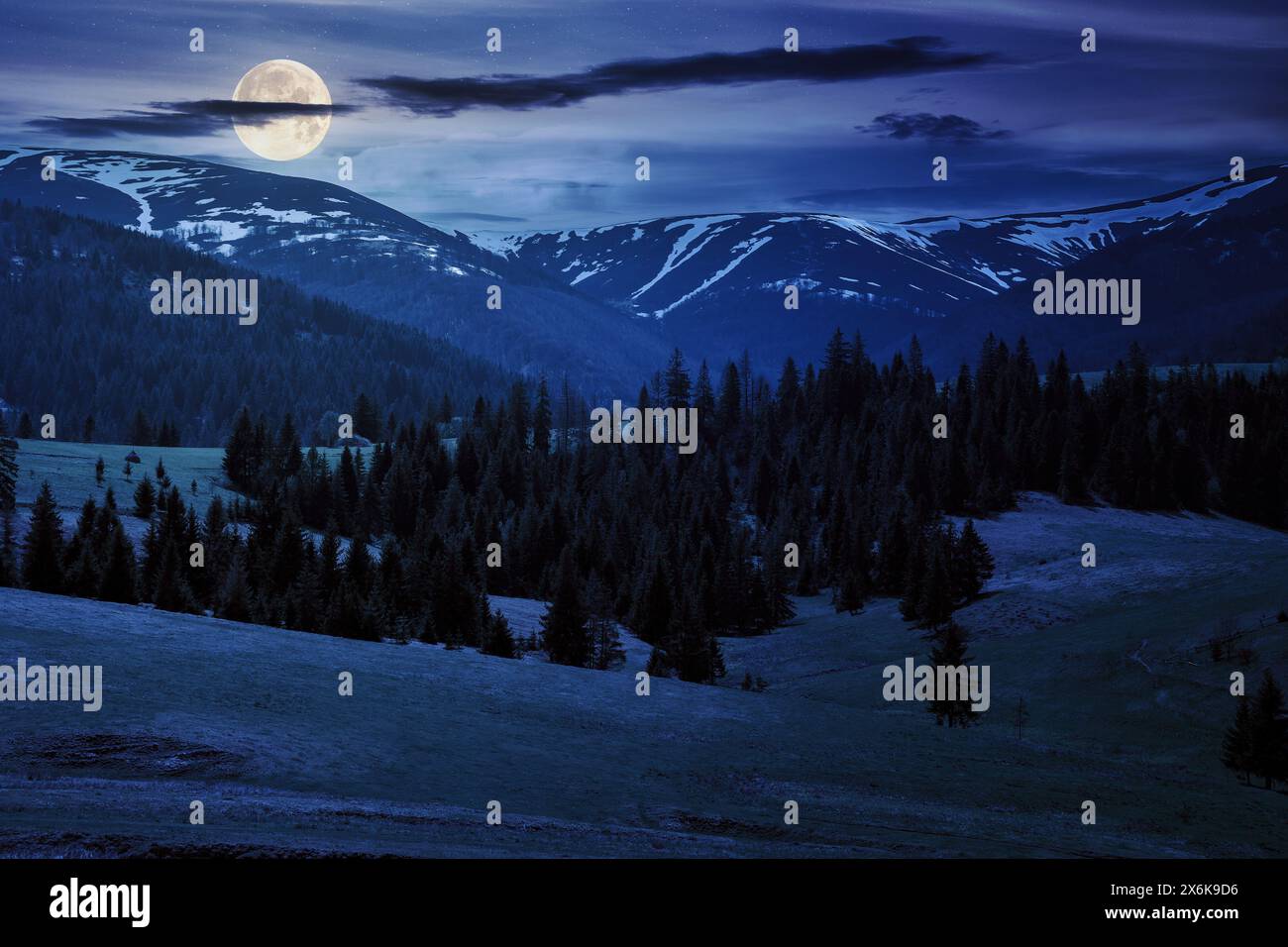 spruce trees on the grassy pasture at night. snow capped ridge in the distance. beautiful countryside landscape in full moon light Stock Photo