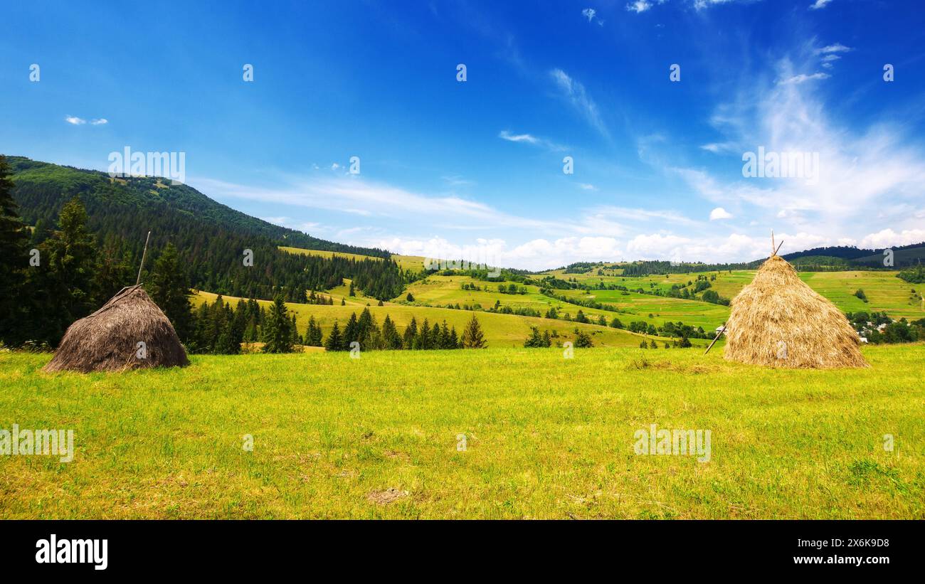 rural landscape with haystacks in the field near the forest at the foot of the mountain. nature scenery of ukrainian carpathian countryside in summer Stock Photo