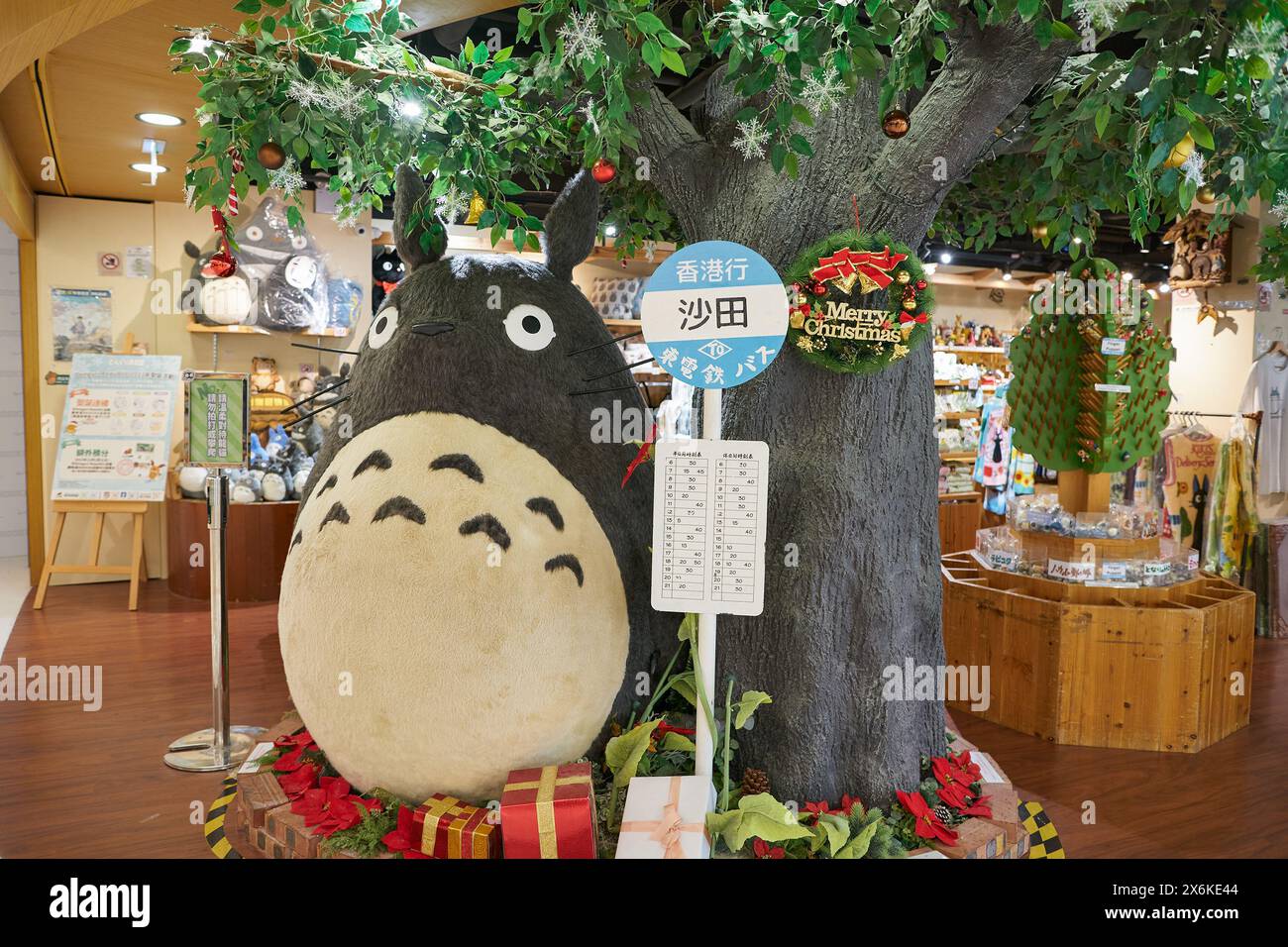 Donguri hi-res stock photography and images - Alamy