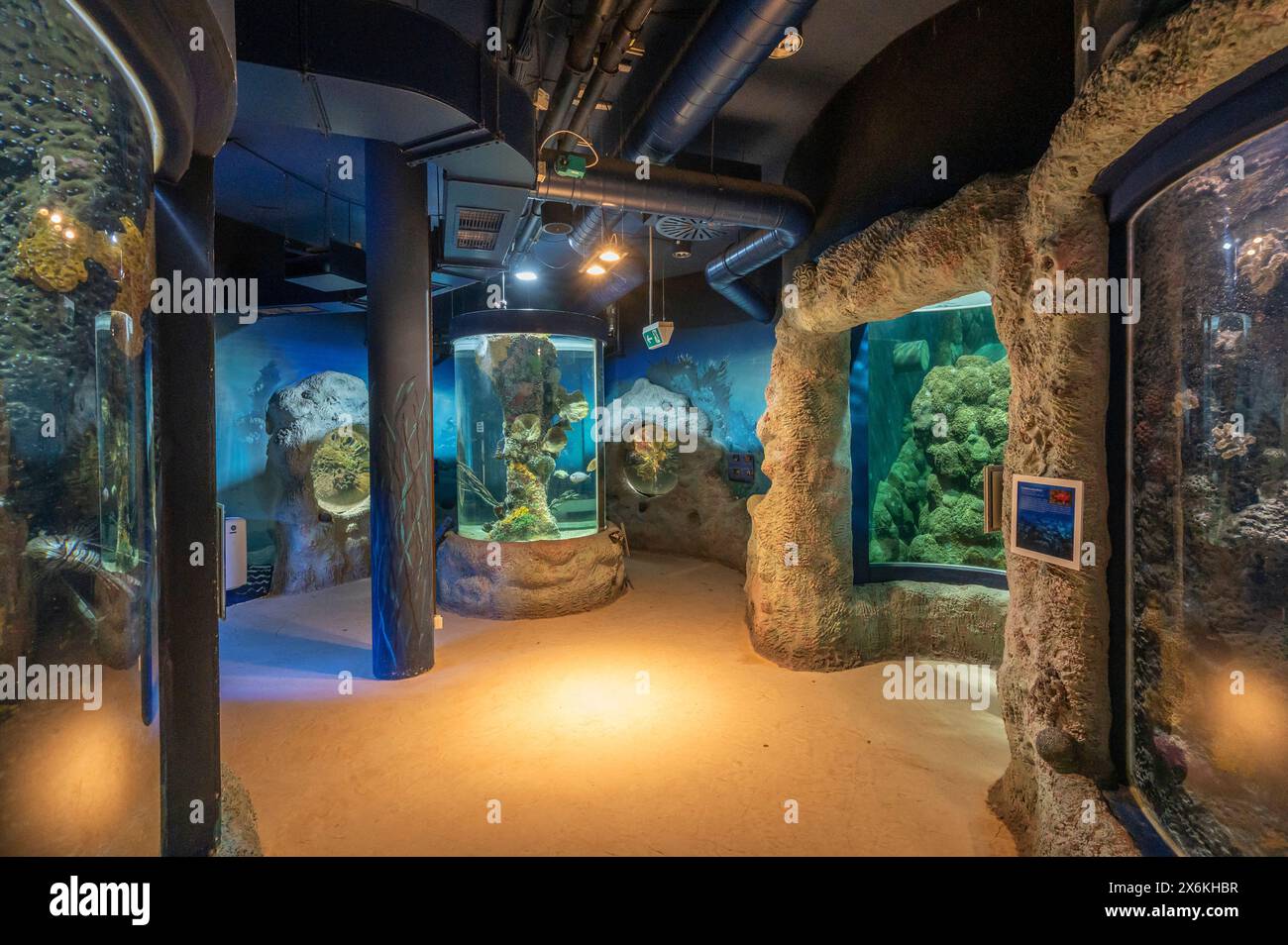 Aquarium Schleswig Holstein