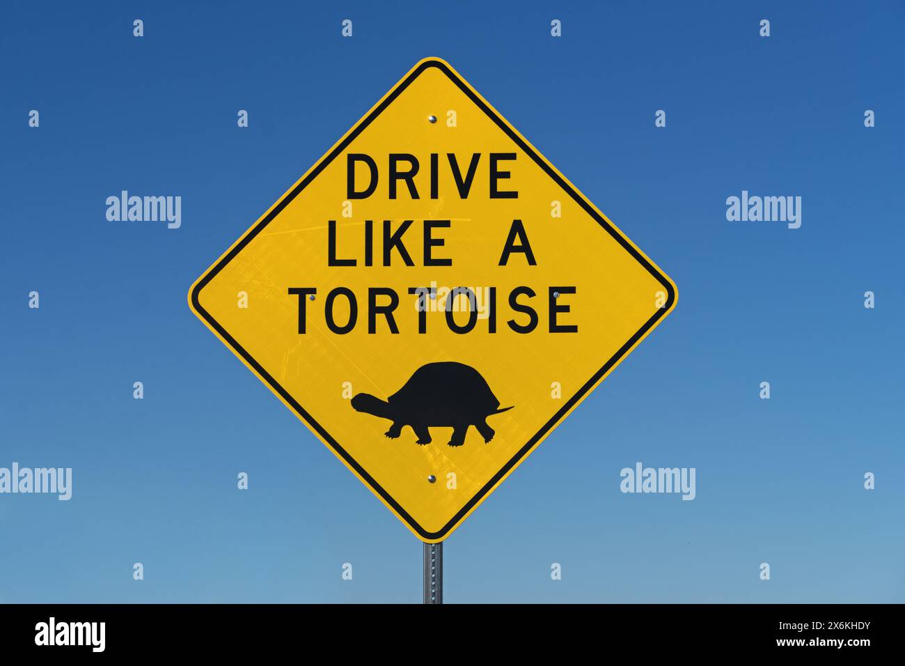 drive like a tortoise road sign in the Mojave Desert of California with blue sky background Stock Photo