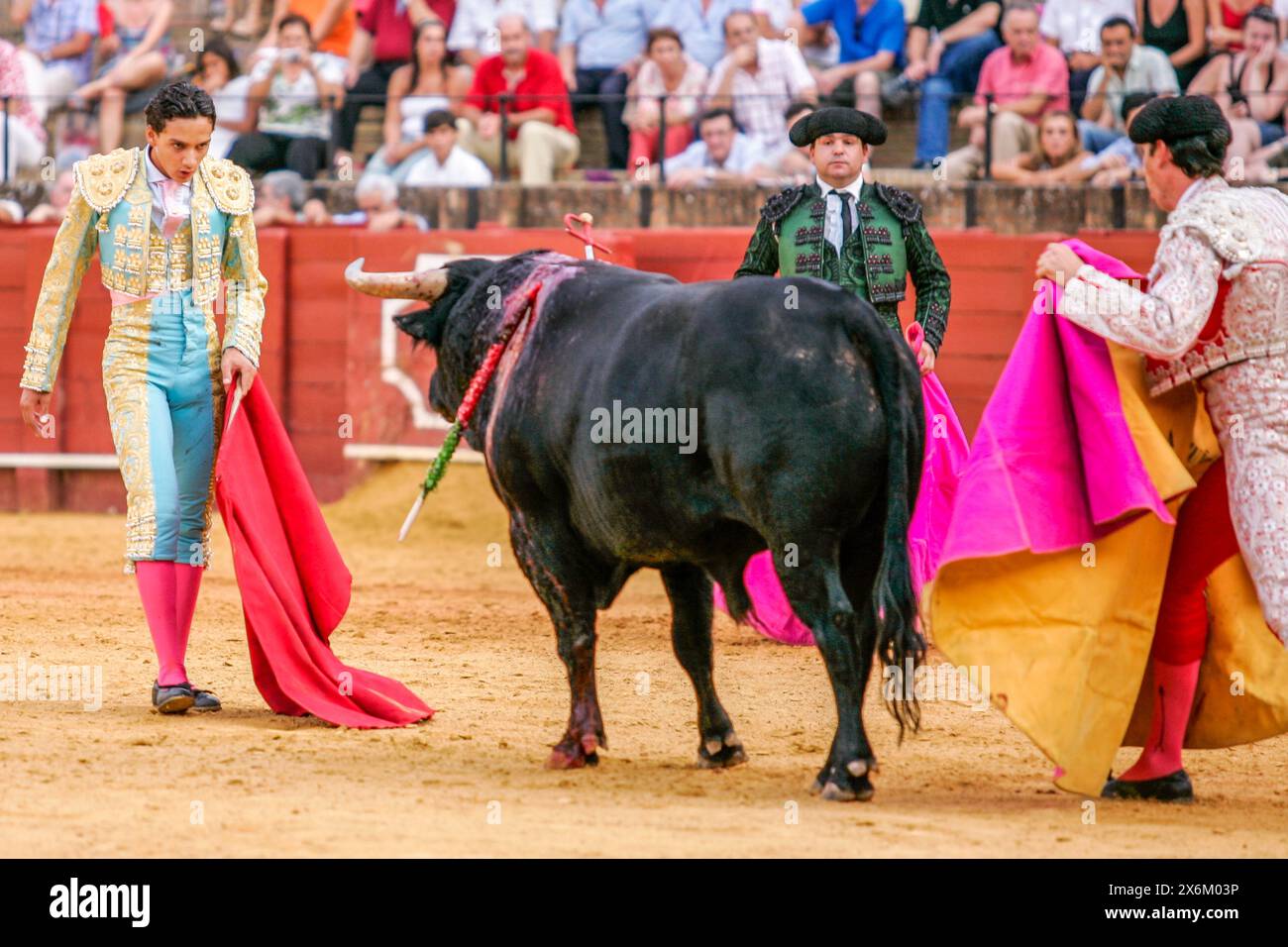 Tauromaquia torero hi-res stock photography and images - Alamy