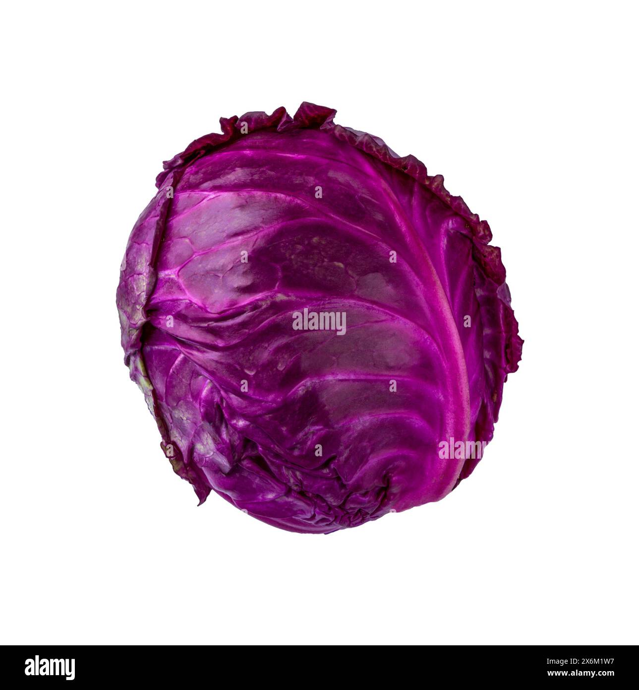 Red cabbage isolated on white background. Clipping Path. Stock Photo