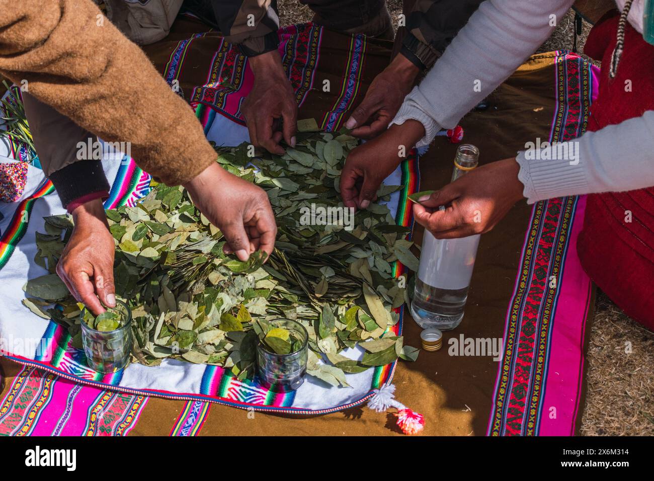 traditional ritual of payment to the earth with coca leaves and chicha ...