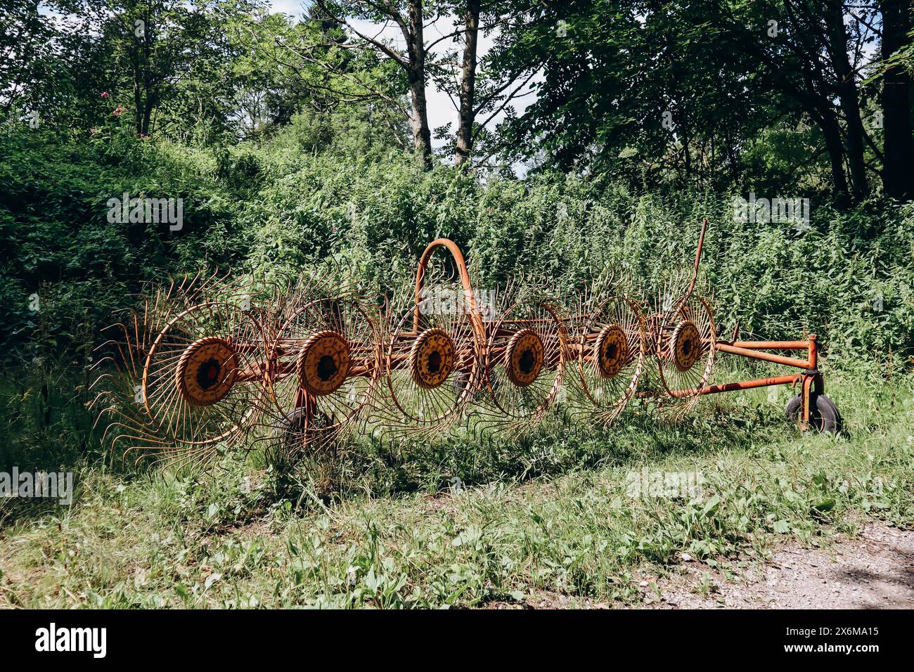 Vicon six wheel hay rake in Schwangau, Germany Stock Photo - Alamy