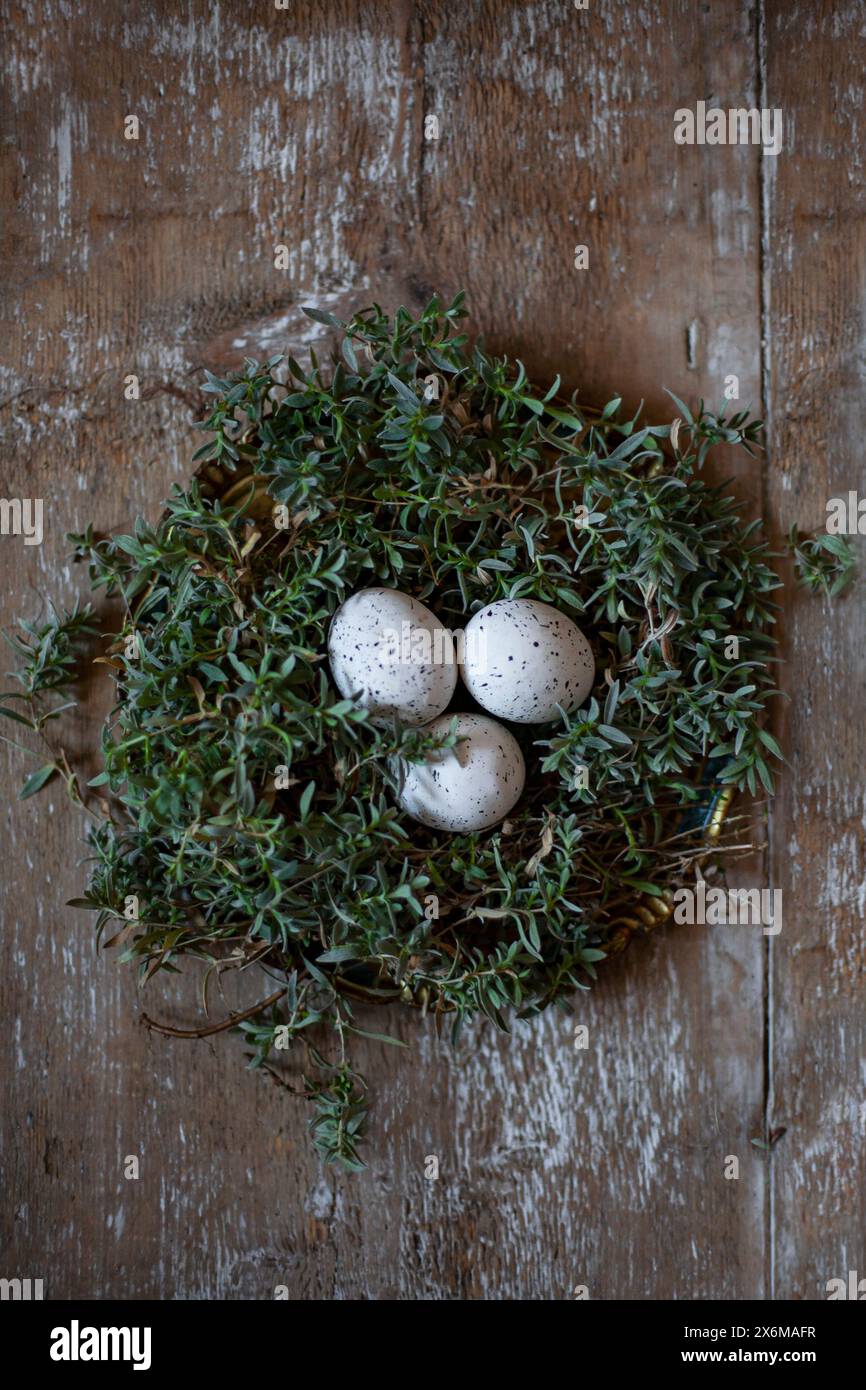 Easter eggs in a nest Stock Photo