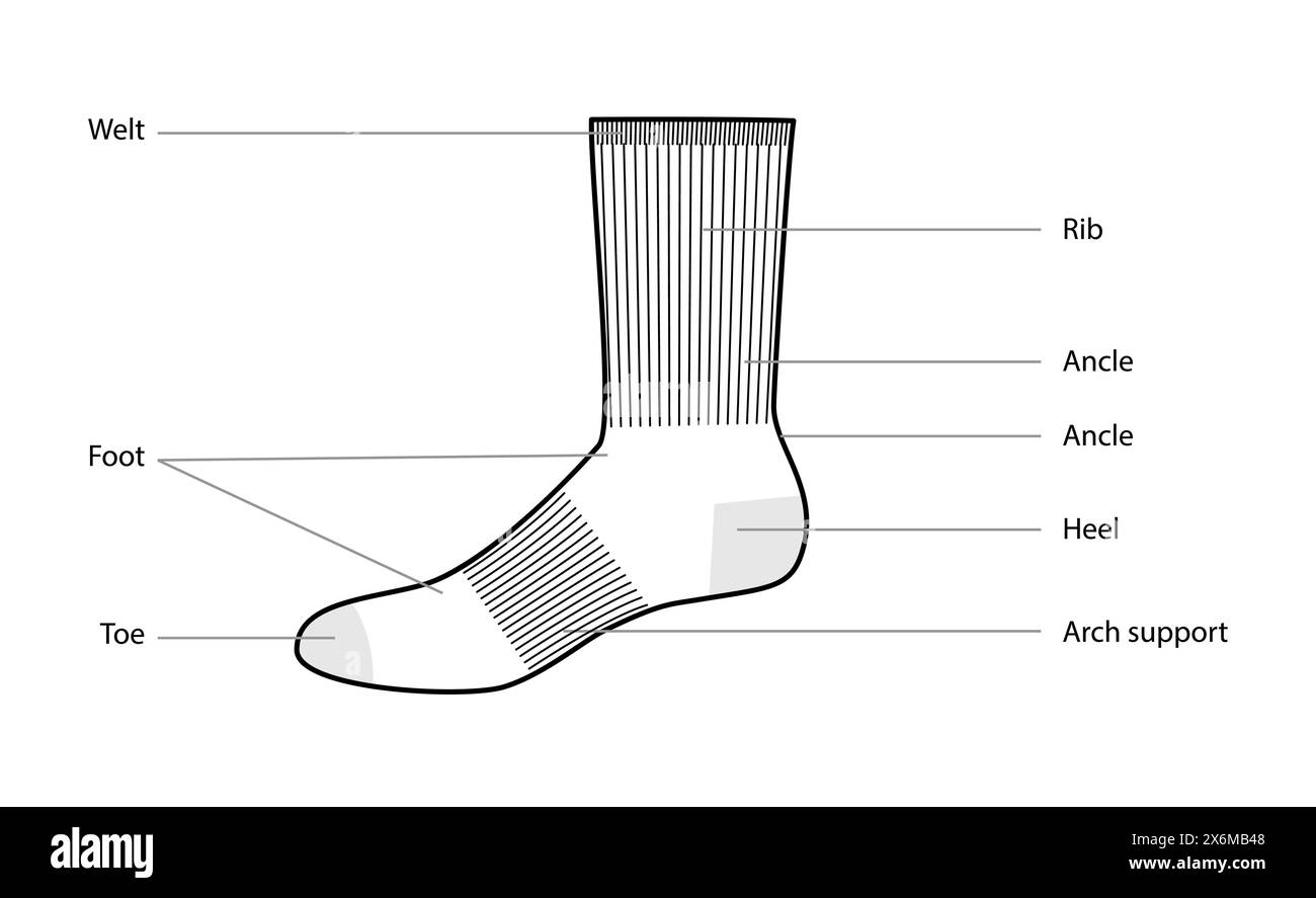 Diagrams of socks parts with text names. Hosiery Fashion accessory
