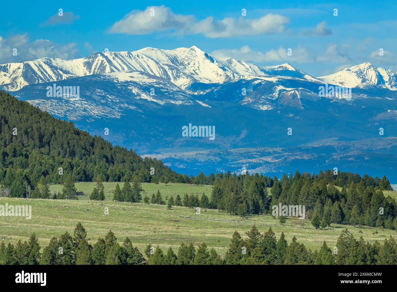 mount haggin in the anaconda range near anaconda, montana Stock Photo ...