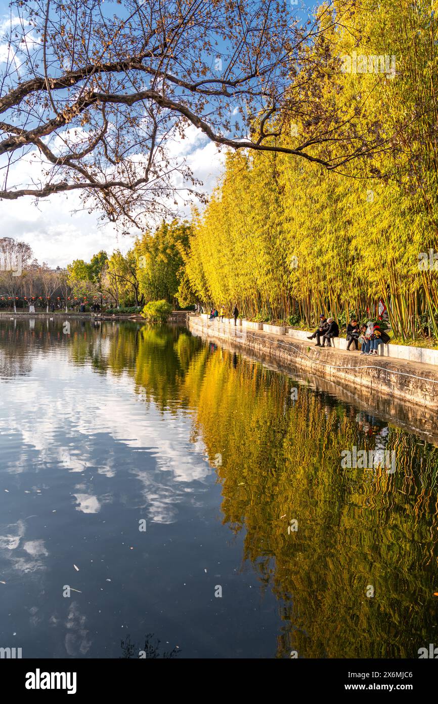 birds-flying-above-the-lake-in-kunming-china-lake-park-in-kunming
