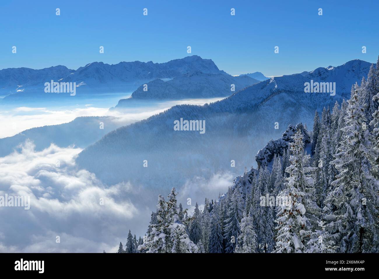Germany Laber Winter forest at Laber with view of Zugspitze and Wetterstein Mountains ...