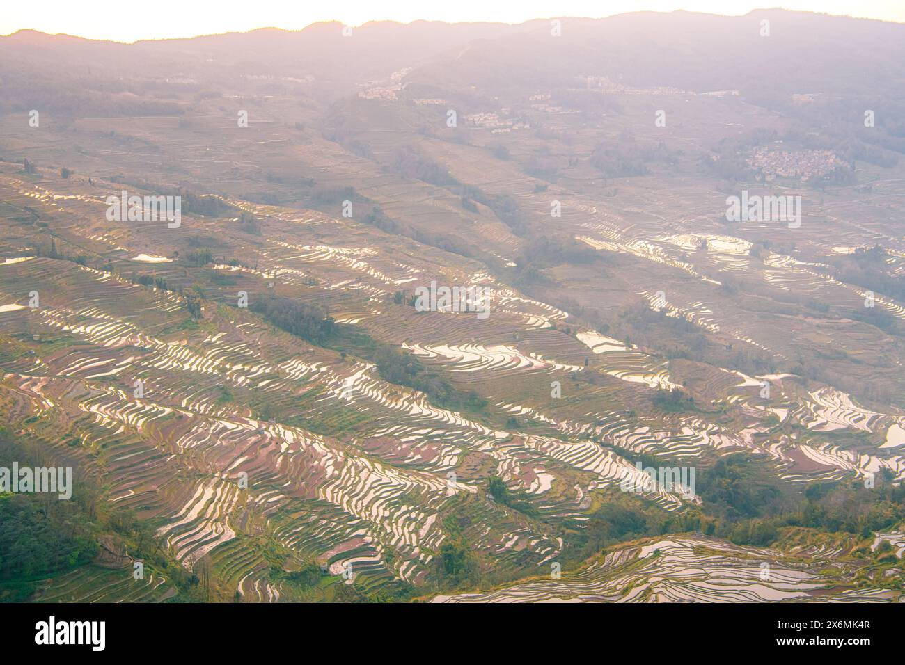 Yuan Yang Rice Terraces - Bada under the sunset in Yunnan province of China. Close up image with copy space Stock Photo