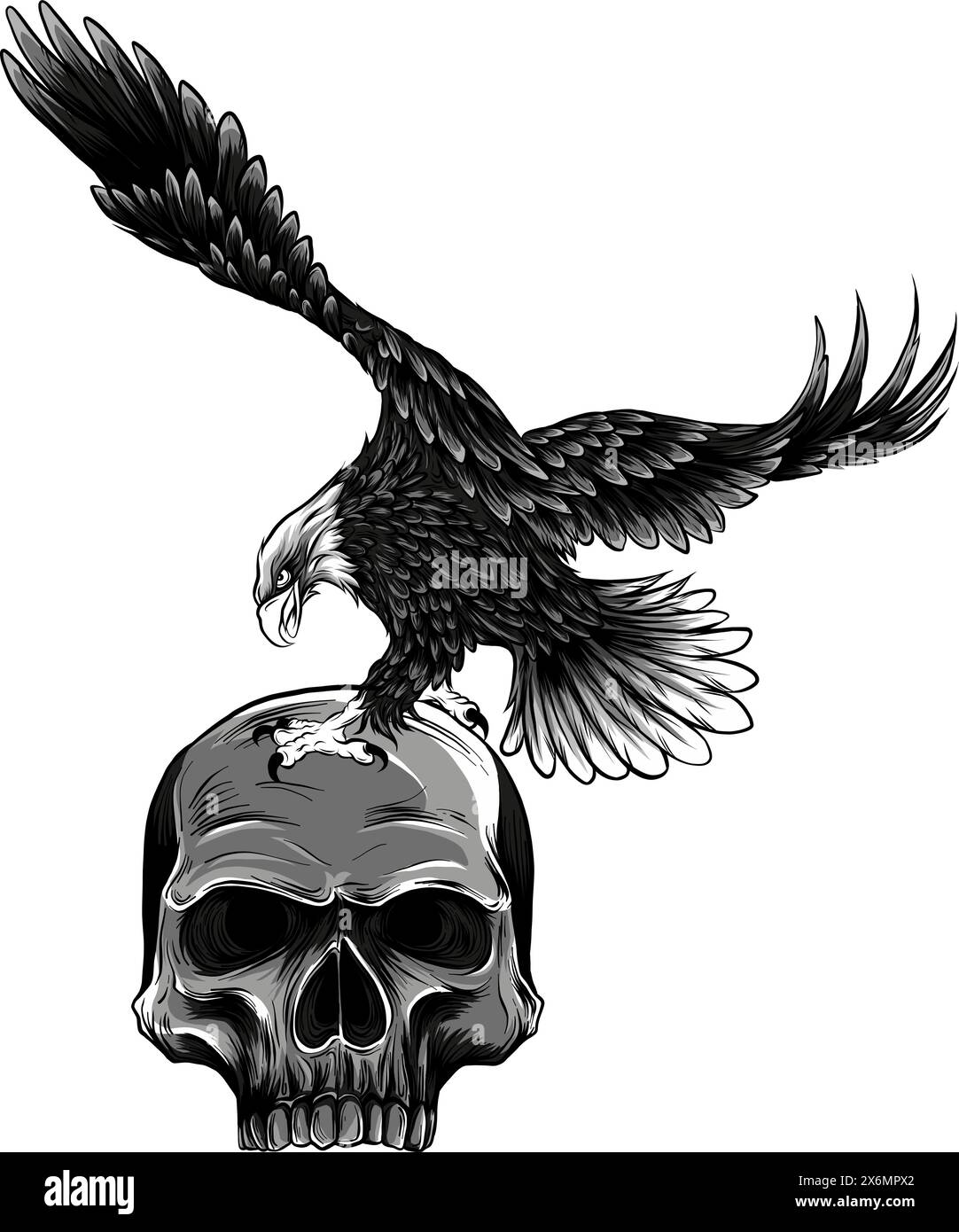 Bird skeleton wings hi-res stock photography and images - Page 6 - Alamy, image size:1082x1390