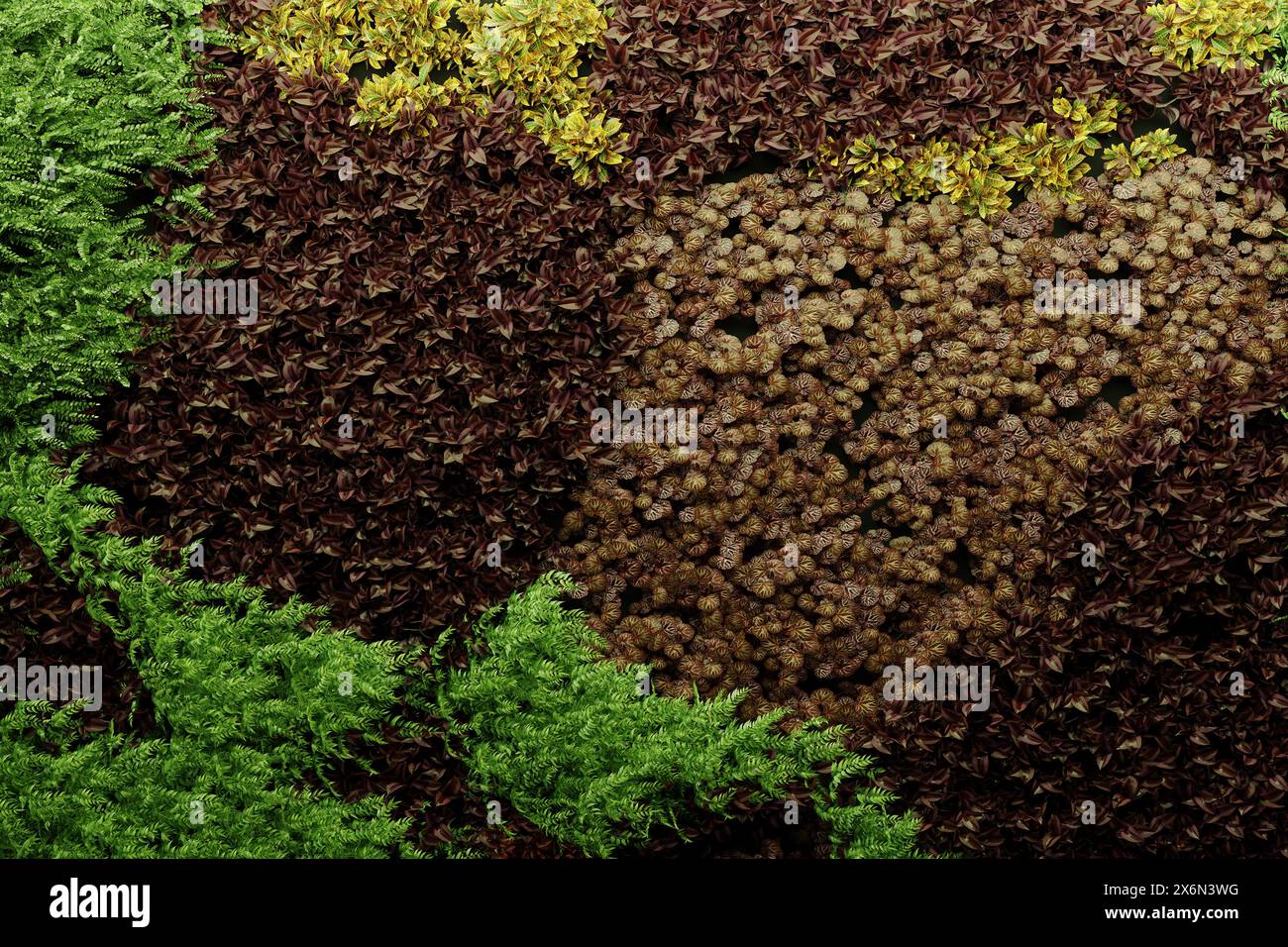 Diverse plants hi-res stock photography and images - Alamy