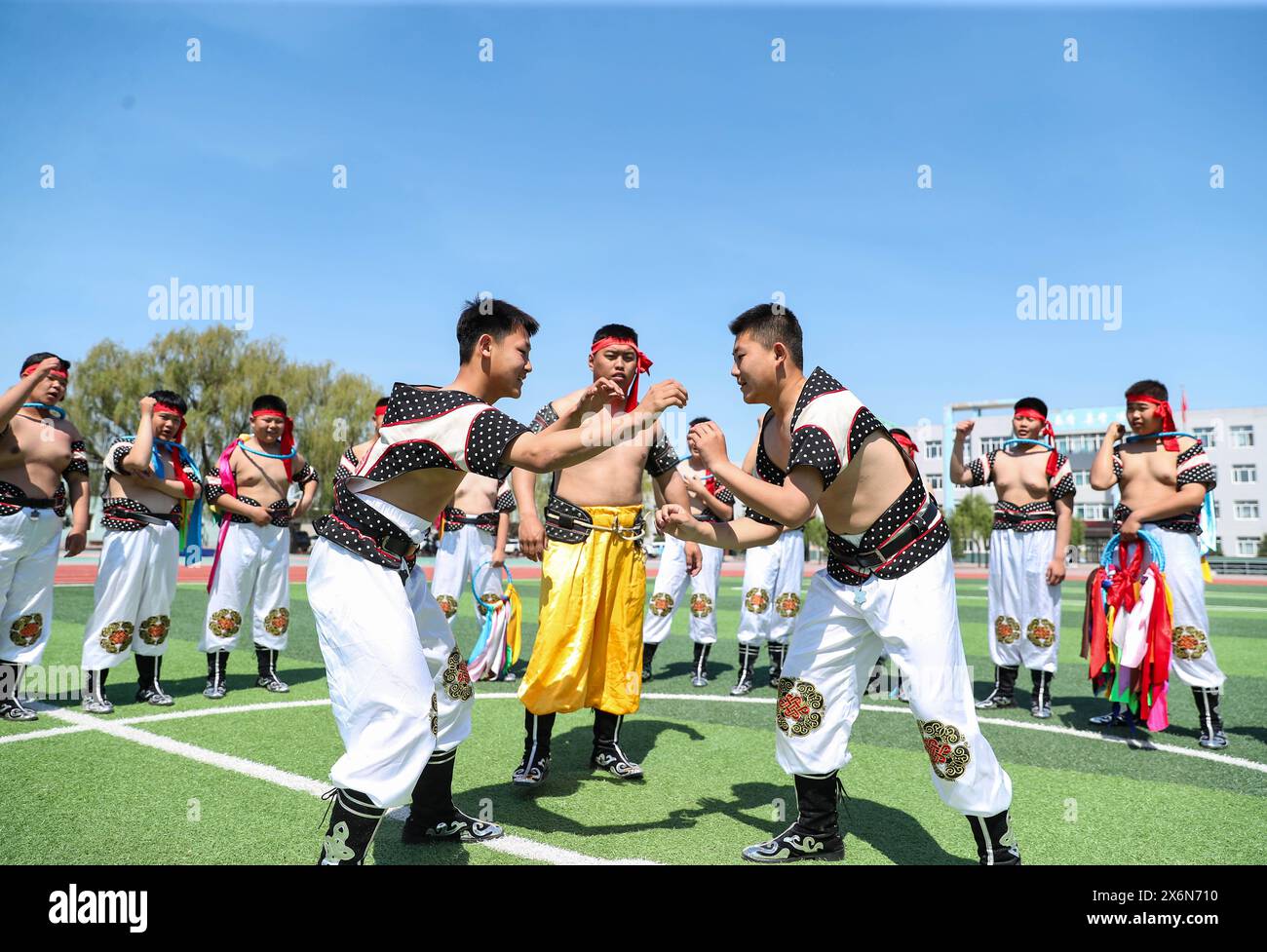 Horse fiddle hi-res stock photography and images - Alamy