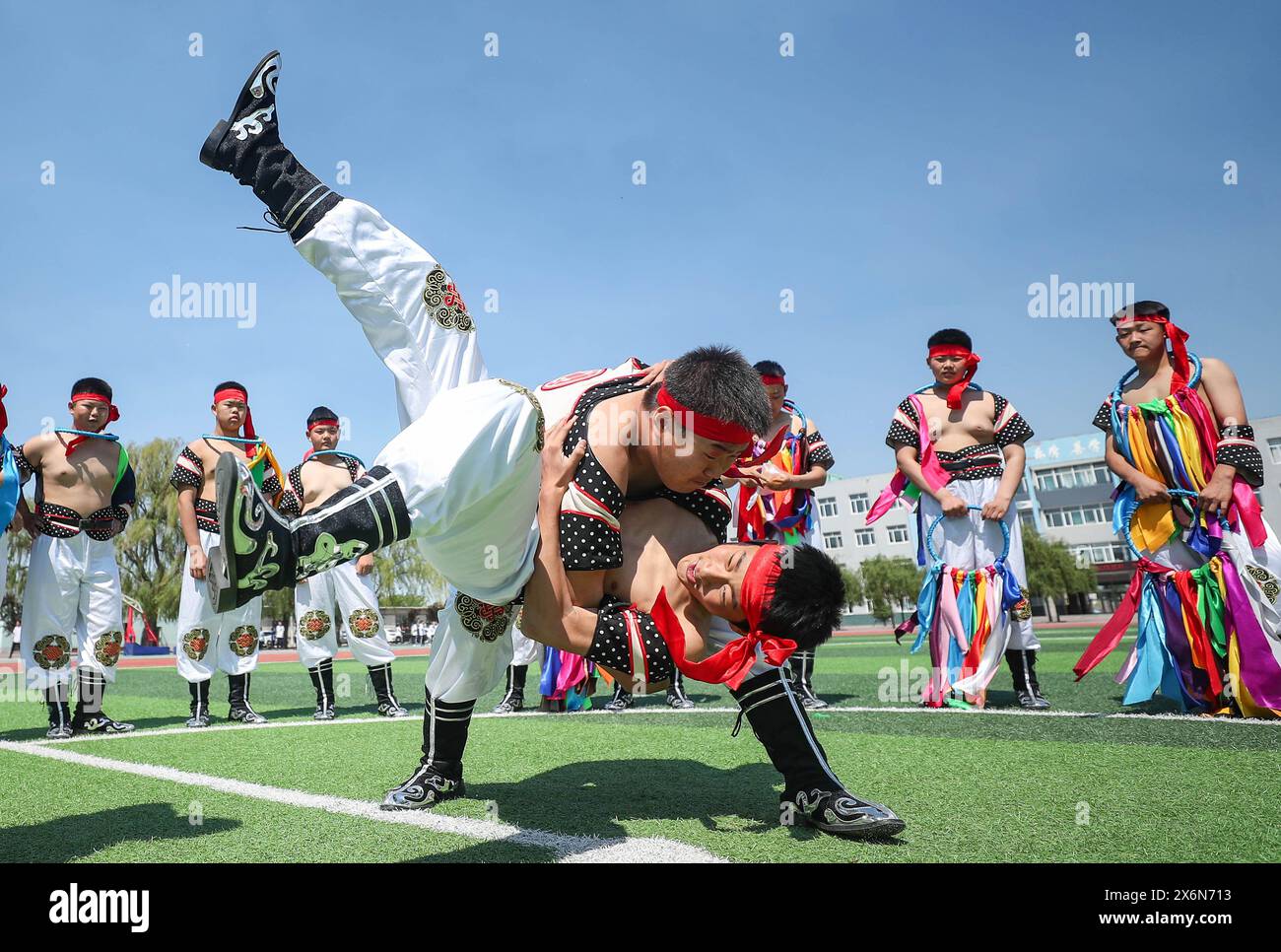 Horse fiddle hi-res stock photography and images - Alamy