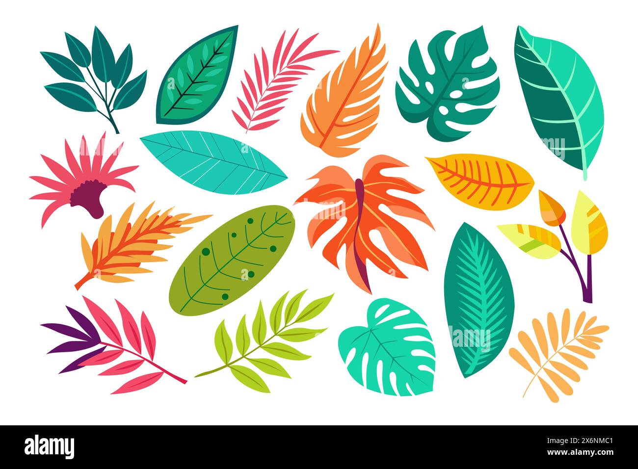 Tropical different type exotic leaves set. Jungle Stock Vector