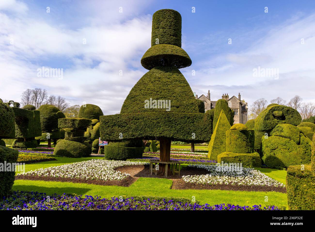 Stunning topiary in a variety of geometrical shapes in the gardens of Levens Hall, Kendal, Lake District, Cumbria, England, Great Britain. Stock Photo