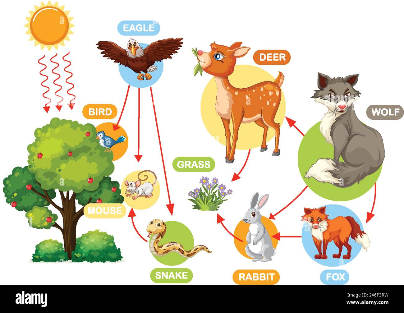 Depicts animals and their food sources Stock Vector