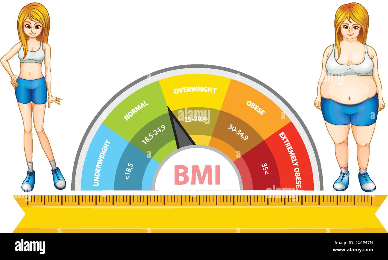 Illustration of BMI scale and two women Stock Vector Image & Art - Alamy