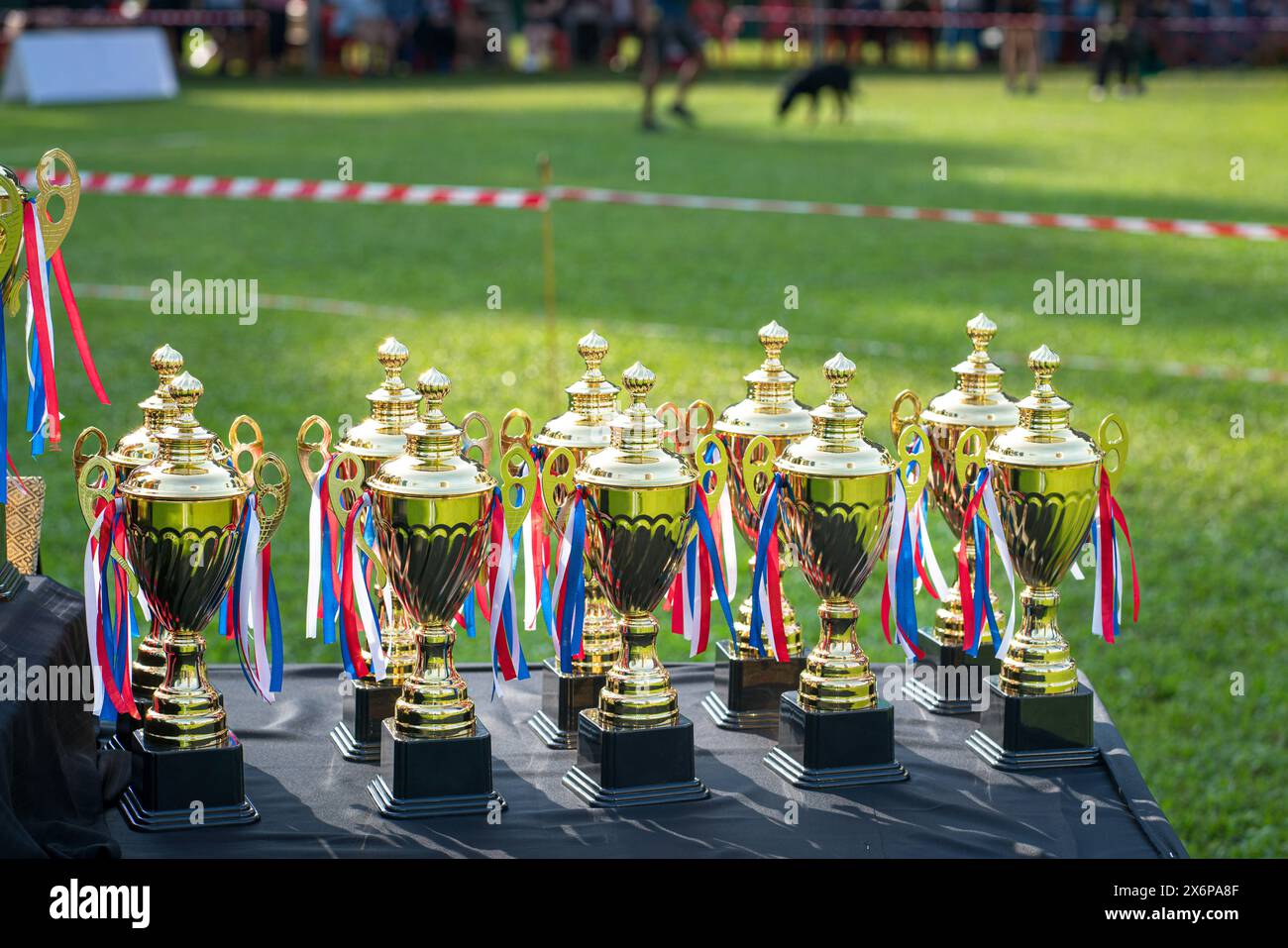 Trophies on display at the podium for a dog show event. Stock Photo