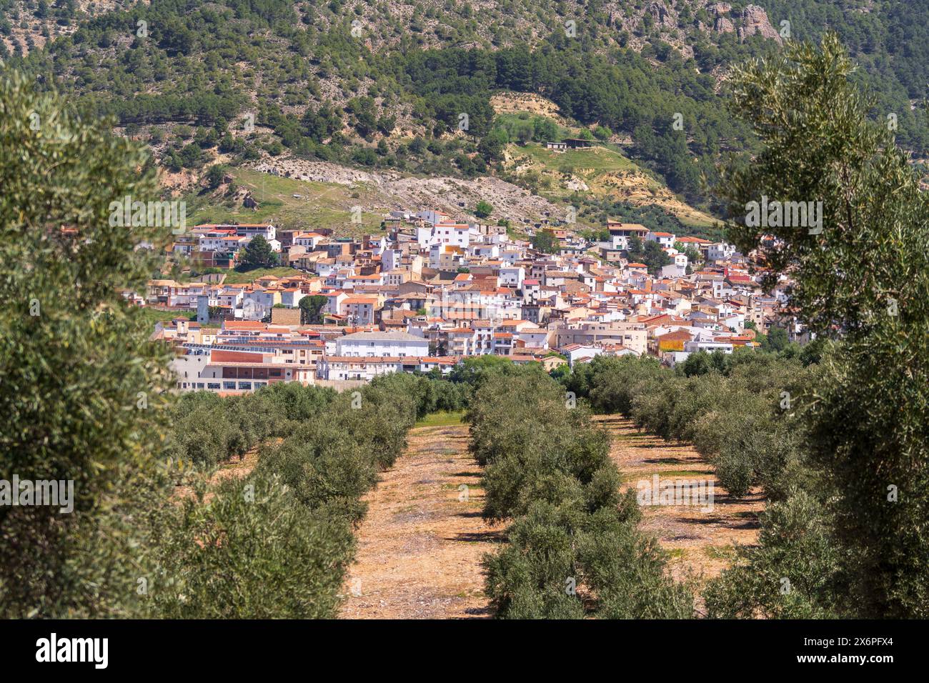 Orcera, view of the town between olives, Jaén province, Andalusia, Spain. Stock Photo