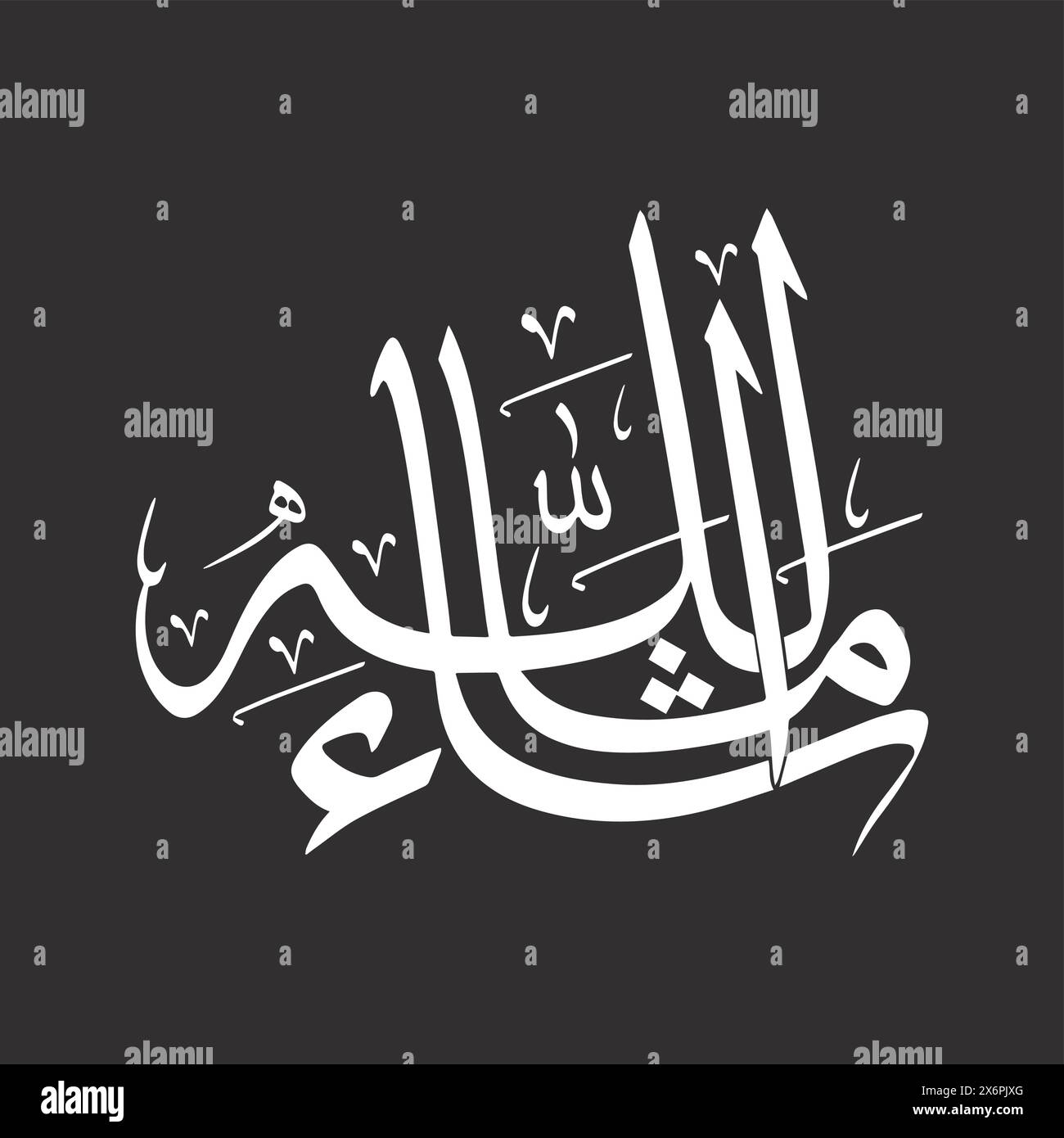 Exquisite Calligraphy Vector Illustrations Elegant Designs for