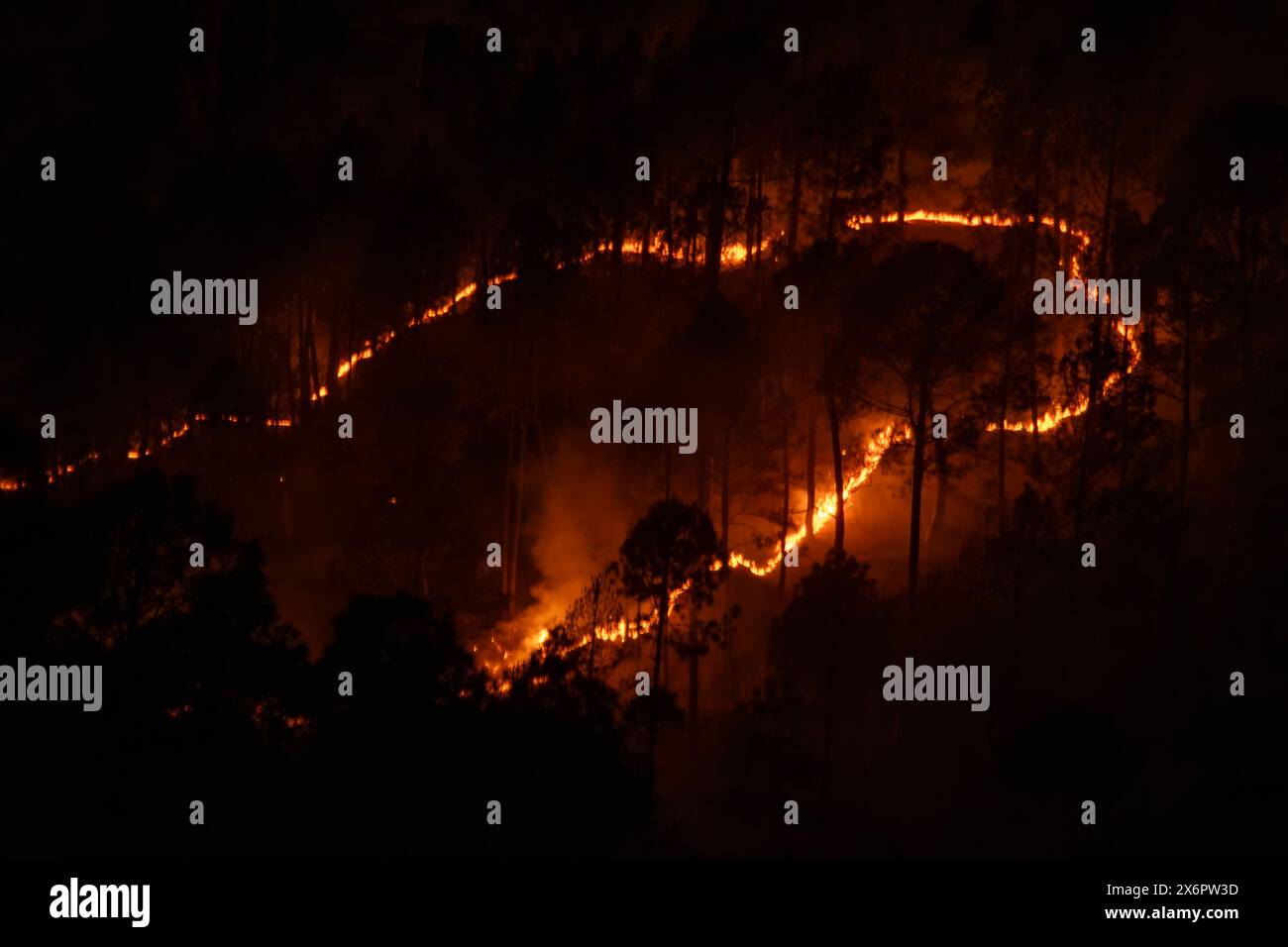 Forest fires on the mountain slopes near Binsar in Uttarakhand India ...