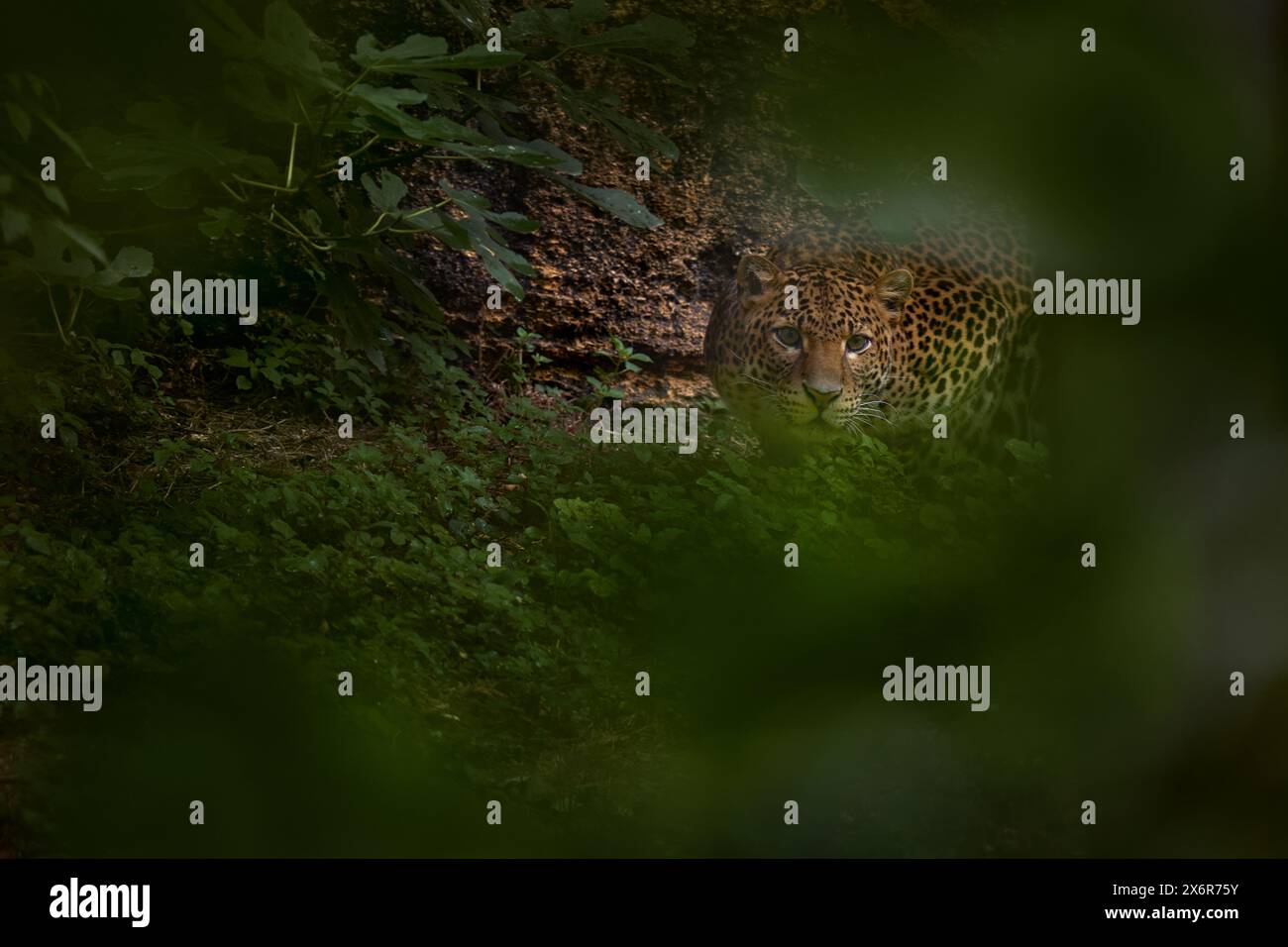 Melas park hi-res stock photography and images - Alamy