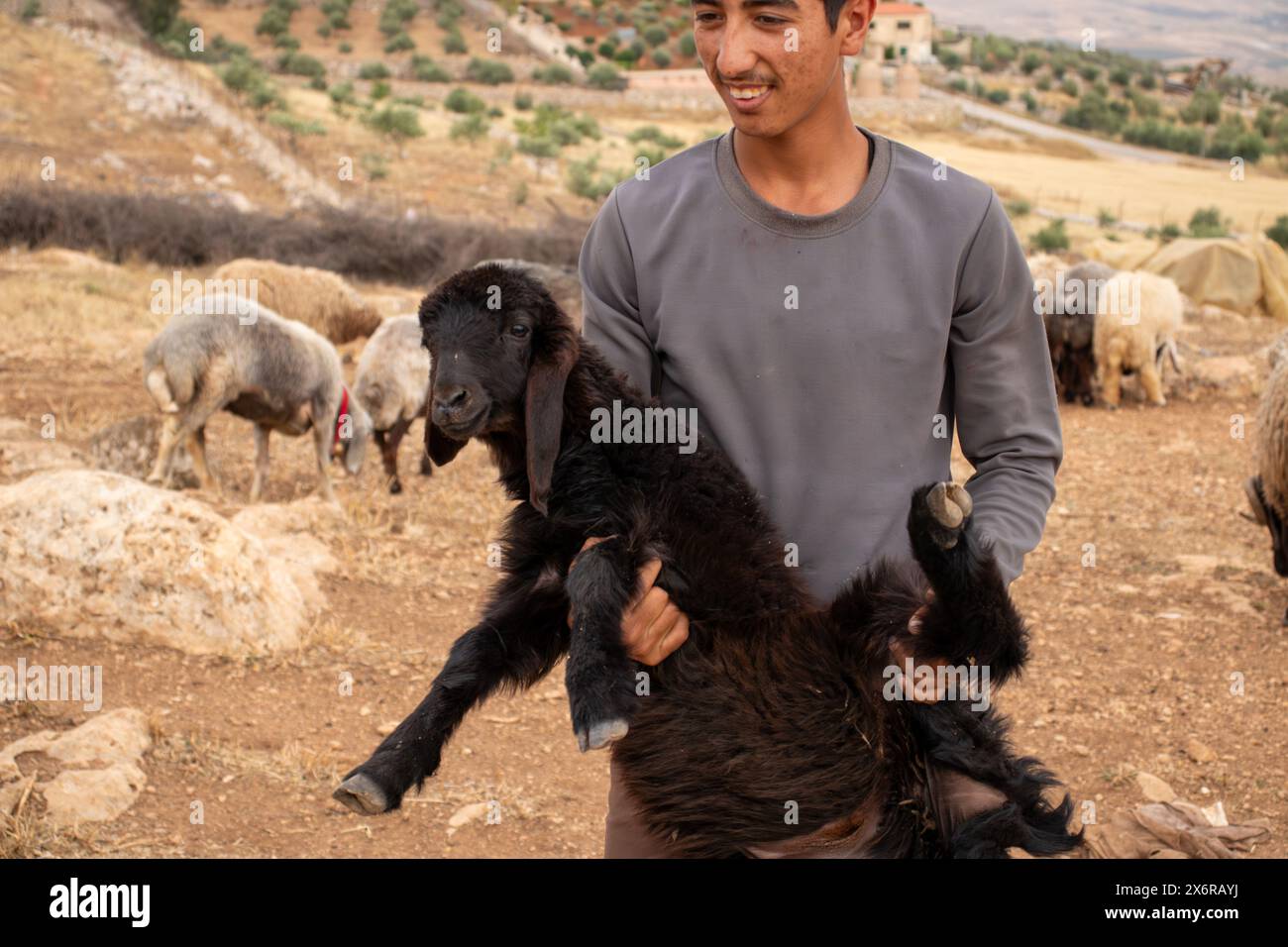 young arabian male holding black sheep in his hand with cheerful look ...