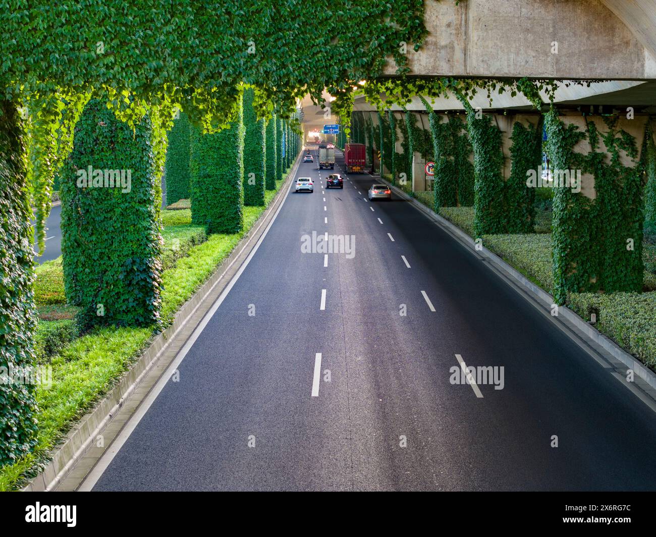 KUNSHAN, CHINA - MAY 16, 2024 - Cars drive on an elevated road with flourishing ivy plants planted on bridge piers in Kunshan city, Jiangsu province, Stock Photo