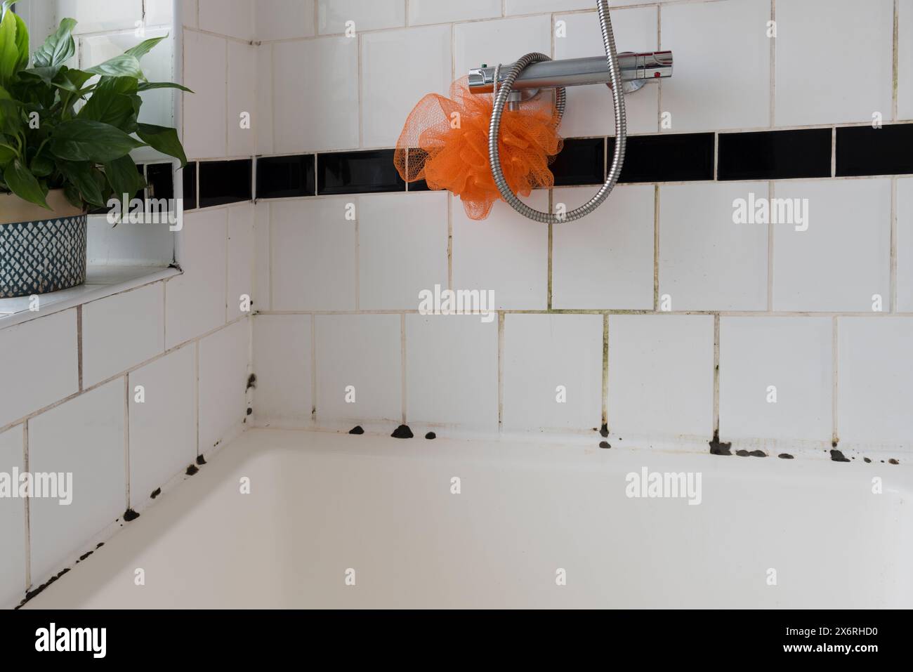 Cracked failing grout in bathroom shower and bath on white porcelain