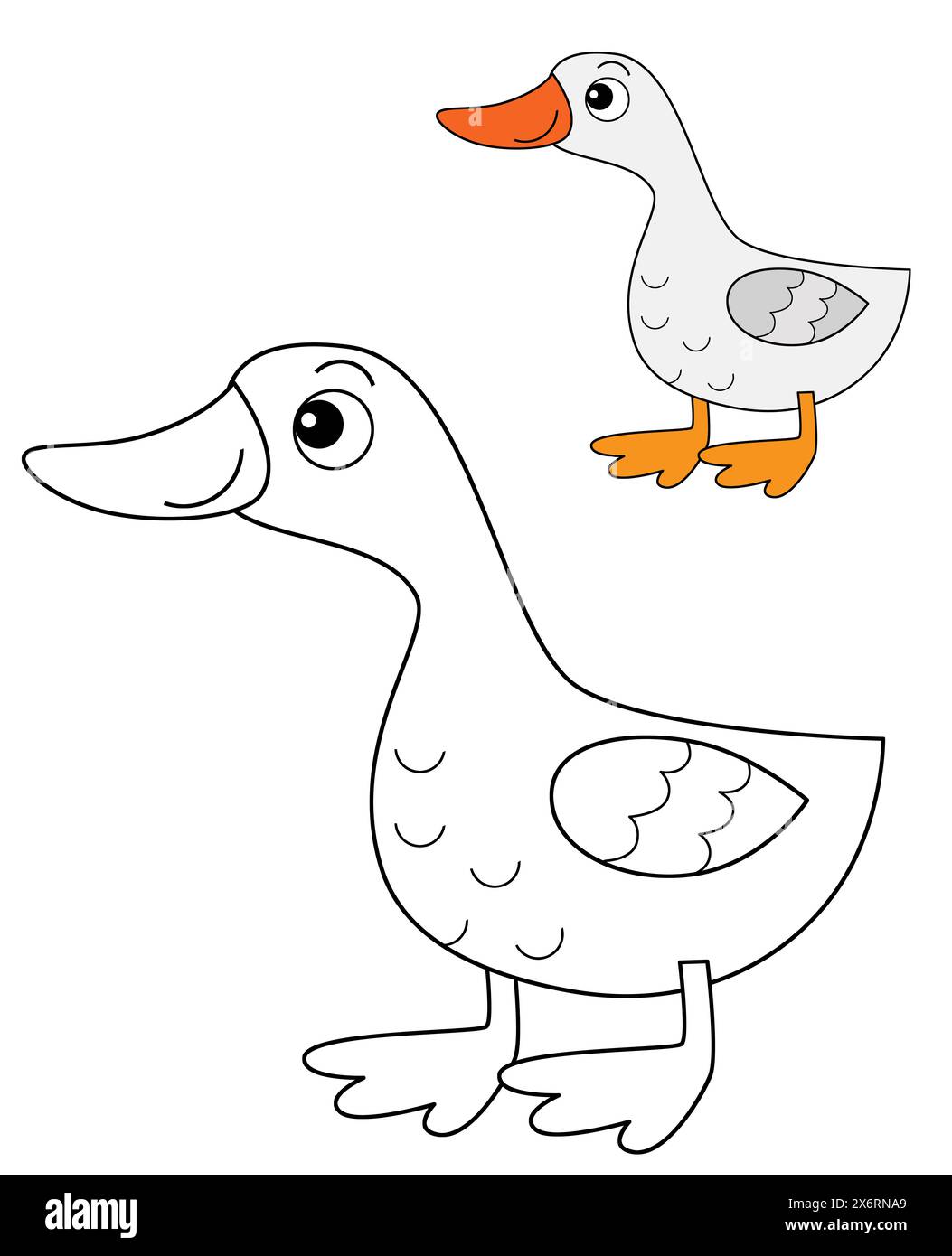 Cartoon happy farm animal cheerful goose bird running isolated background with sketch drawing with colorful preview illustration for kids Stock Photo