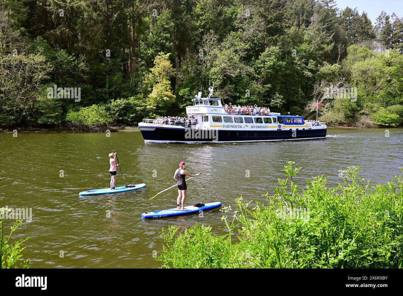 Stand-up paddleboarders on the river Dart at Totnes, South Devon as Dartmouth Riverboats Cardiff Castle leaves for Dartmouth. Stock Photo