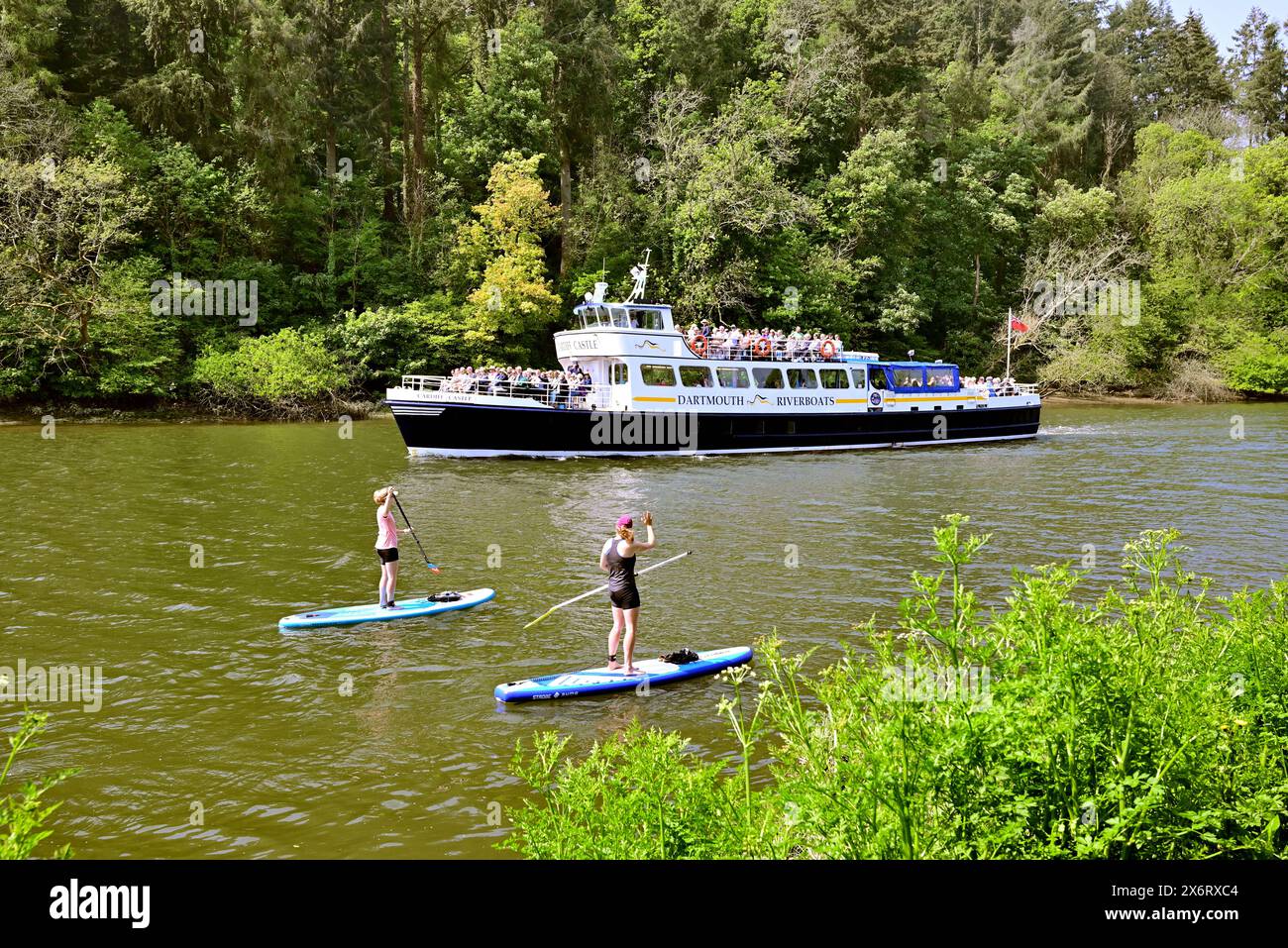 Stand-up paddleboarders on the river Dart at Totnes, South Devon as Dartmouth Riverboats Cardiff Castle leaves for Dartmouth. Stock Photo