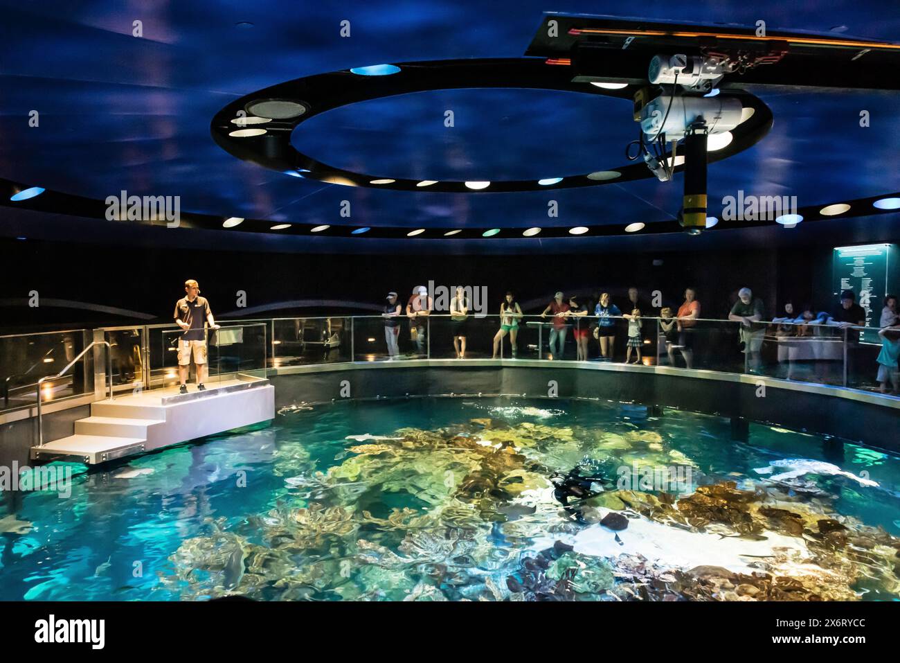New England Aquarium Boston Massachusetts USA Stock Photo Alamy New england aquarium boston massachusetts usa stock photo alamy