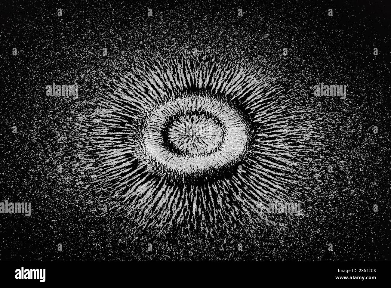 fields around a loudspeaker used with electricity to generate