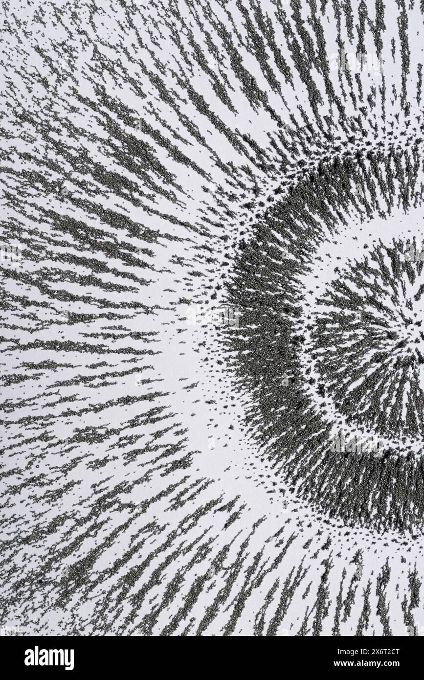 fields around a loudspeaker used with electricity to generate